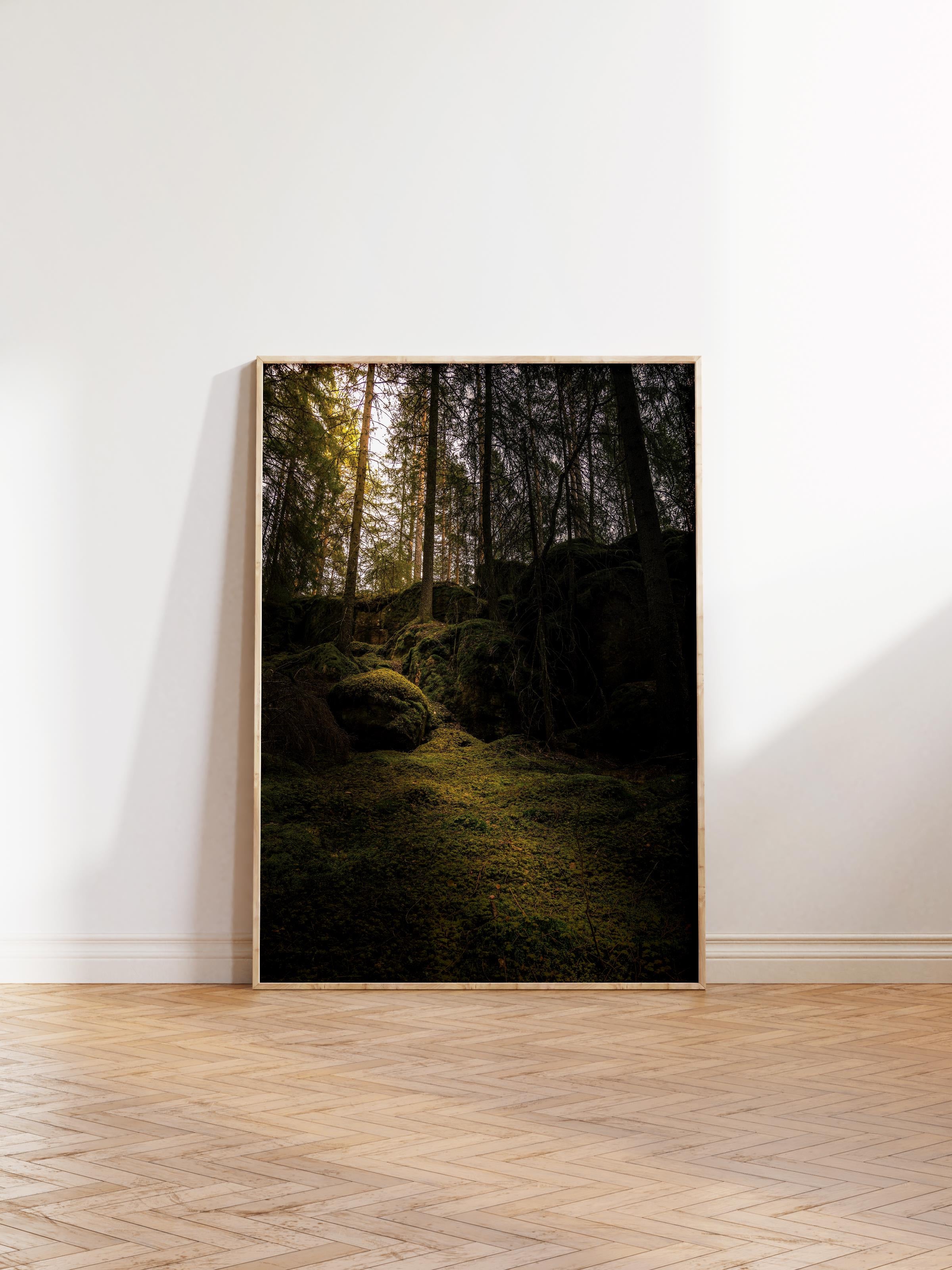 Çerçevesiz Poster Orman No:20, Fotoğraf Baskısı, Salon, Mutfak, Oturma Odası, Hol Duvar Dekoru Poster