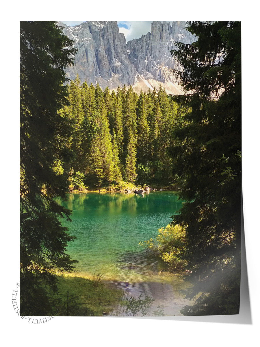 Yeşil Orman Manzarası Doğa Fotoğraf Çerçevesiz Poster