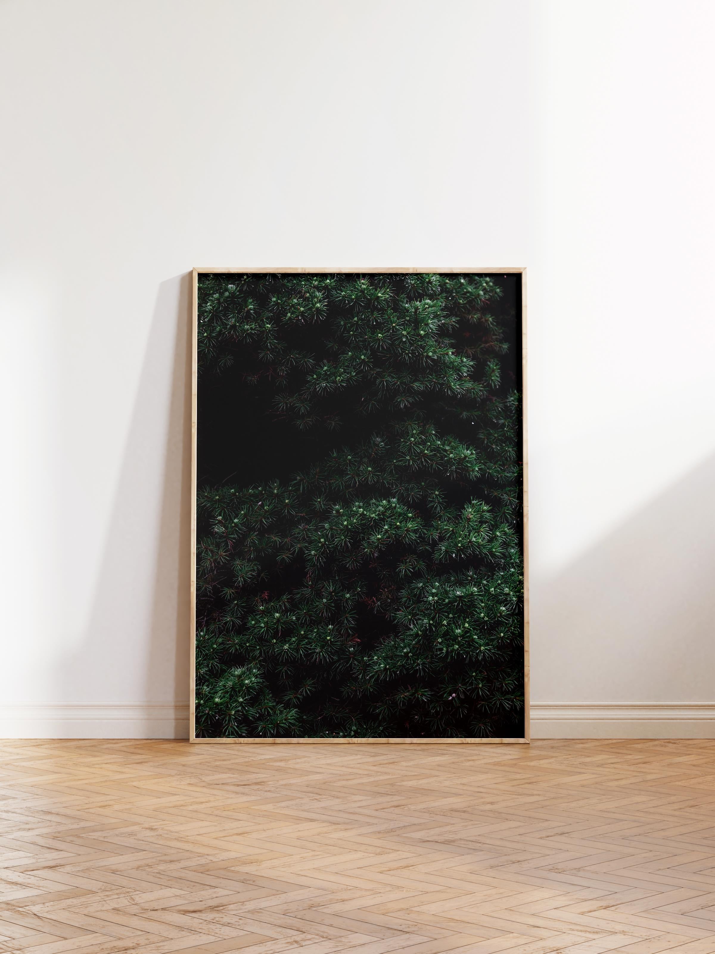 Çerçevesiz Poster Orman No:27, Fotoğraf Baskısı, Salon, Mutfak, Oturma Odası, Hol Duvar Dekoru Poster