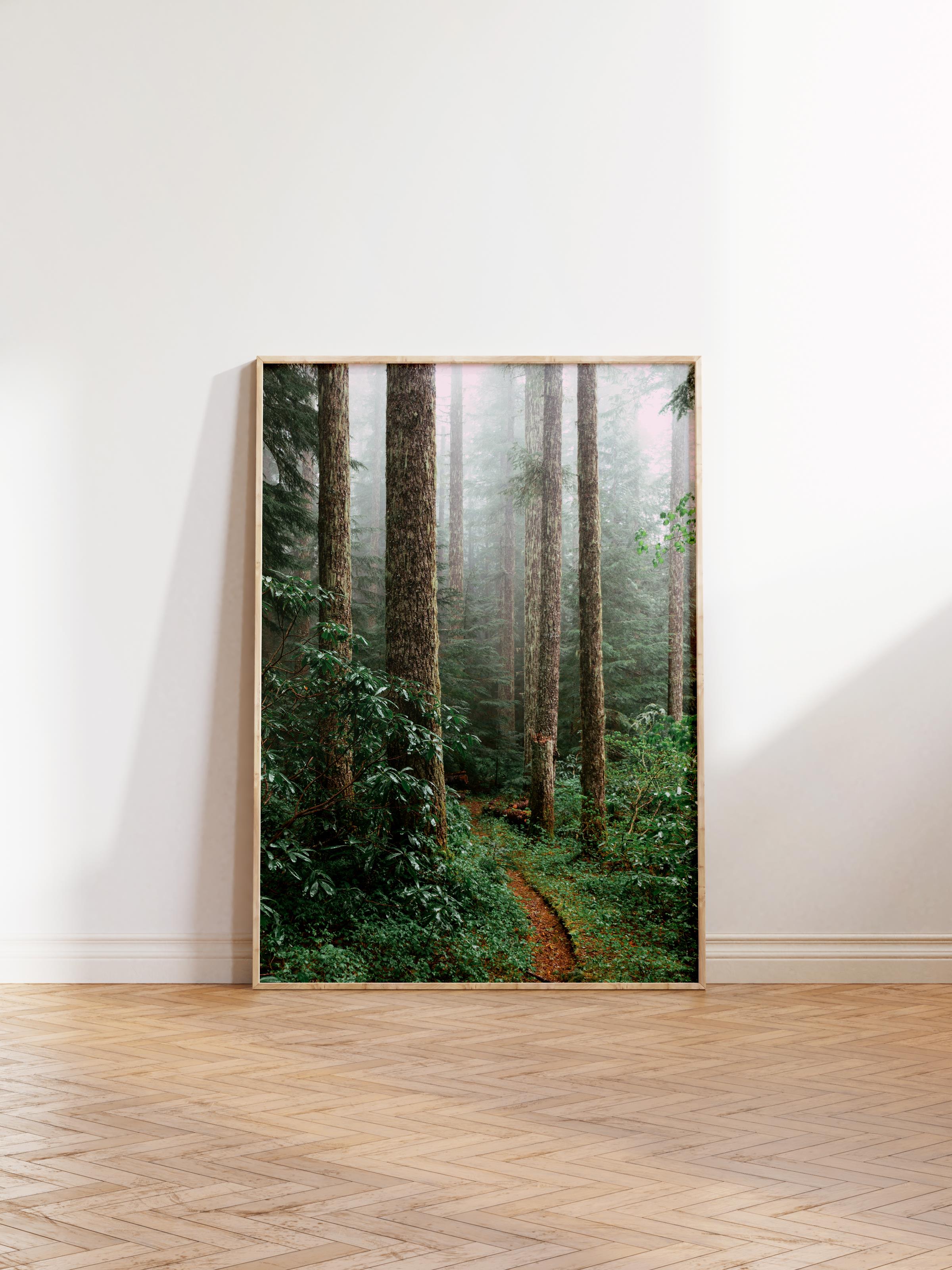 Çerçevesiz Poster Orman No:40, Fotoğraf Baskısı, Salon, Mutfak, Oturma Odası, Hol Duvar Dekoru Poster