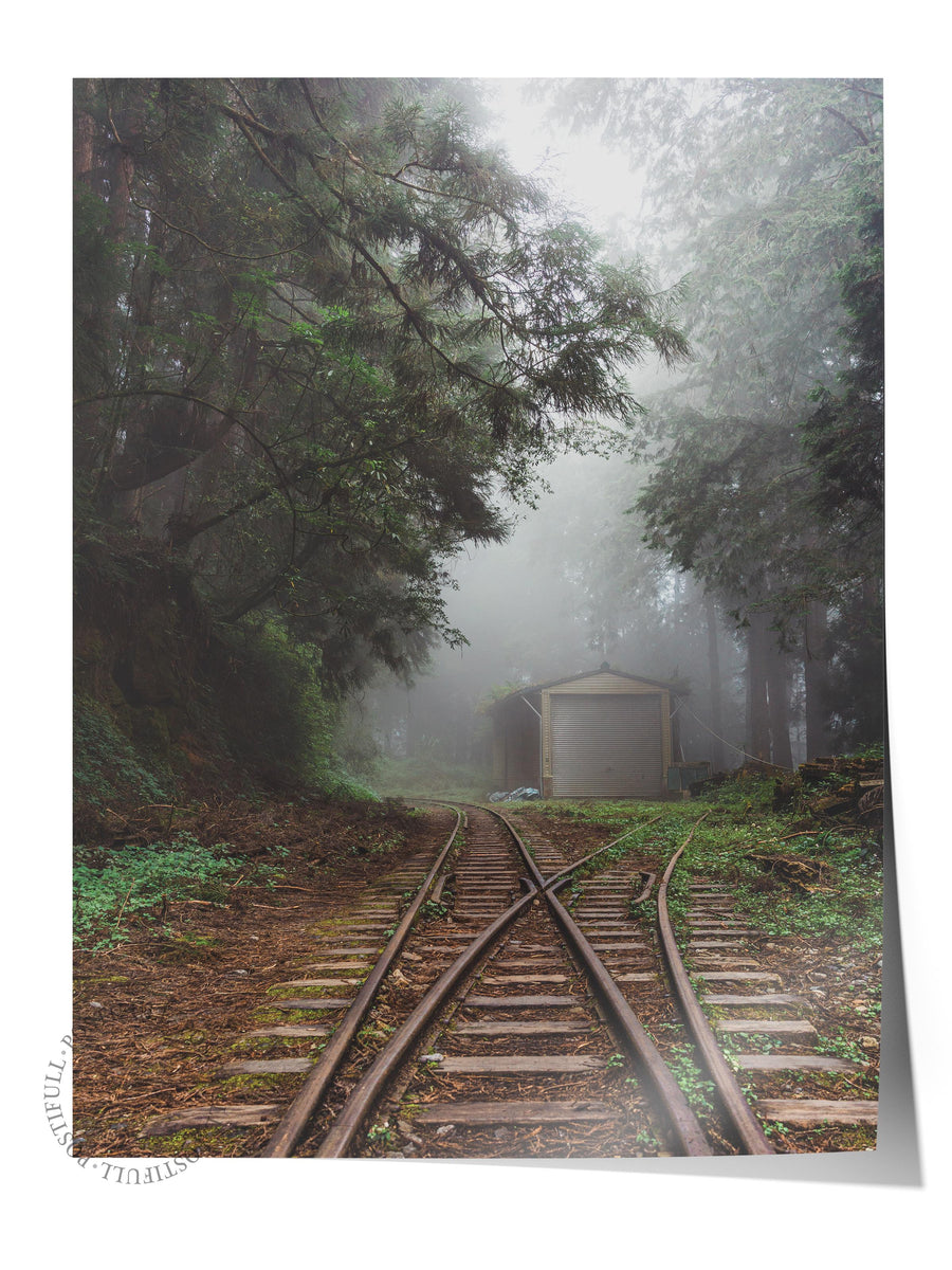Sisli Ormanda Tren Yolu Doğa Fotoğraf Çerçevesiz Poster