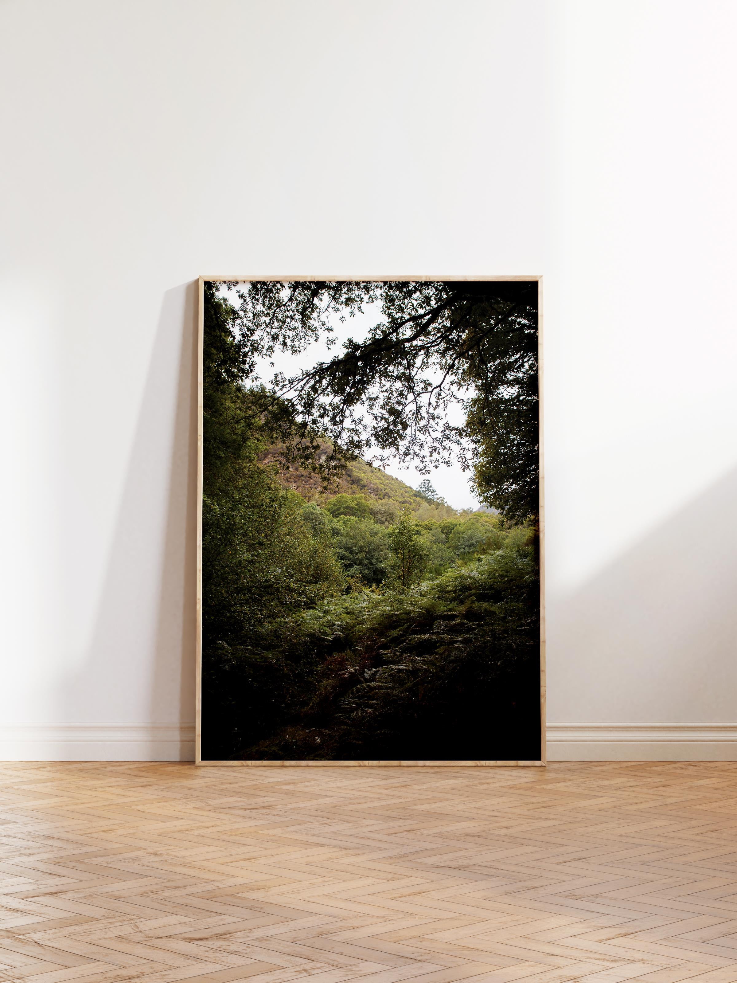 Çerçevesiz Poster Orman No:7, Fotoğraf Baskısı, Salon, Mutfak, Oturma Odası, Hol Duvar Dekoru Poster
