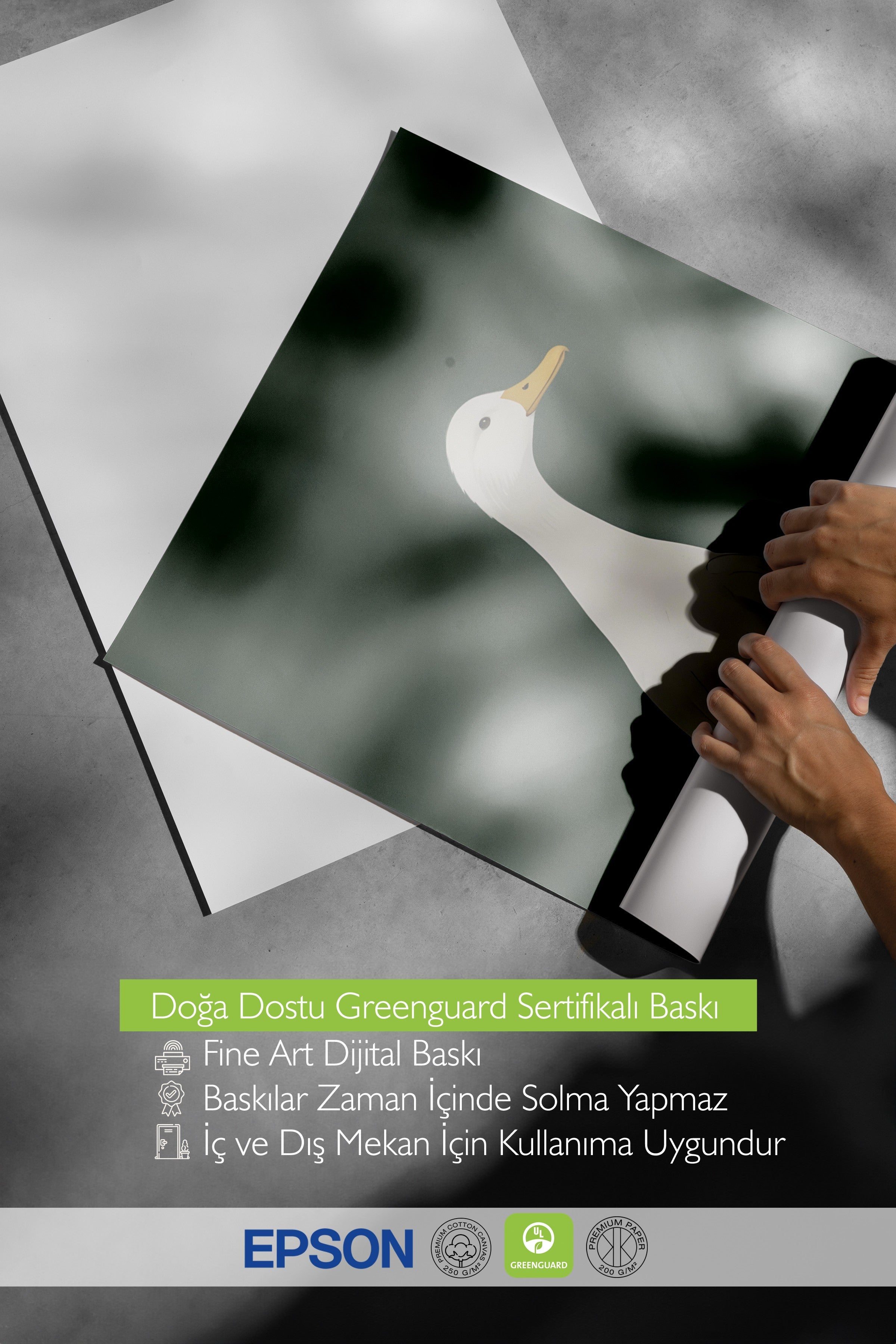 Çerçevesiz Poster, Silly Goose , Comfort Serisi Duvar Posteri, NO:108947