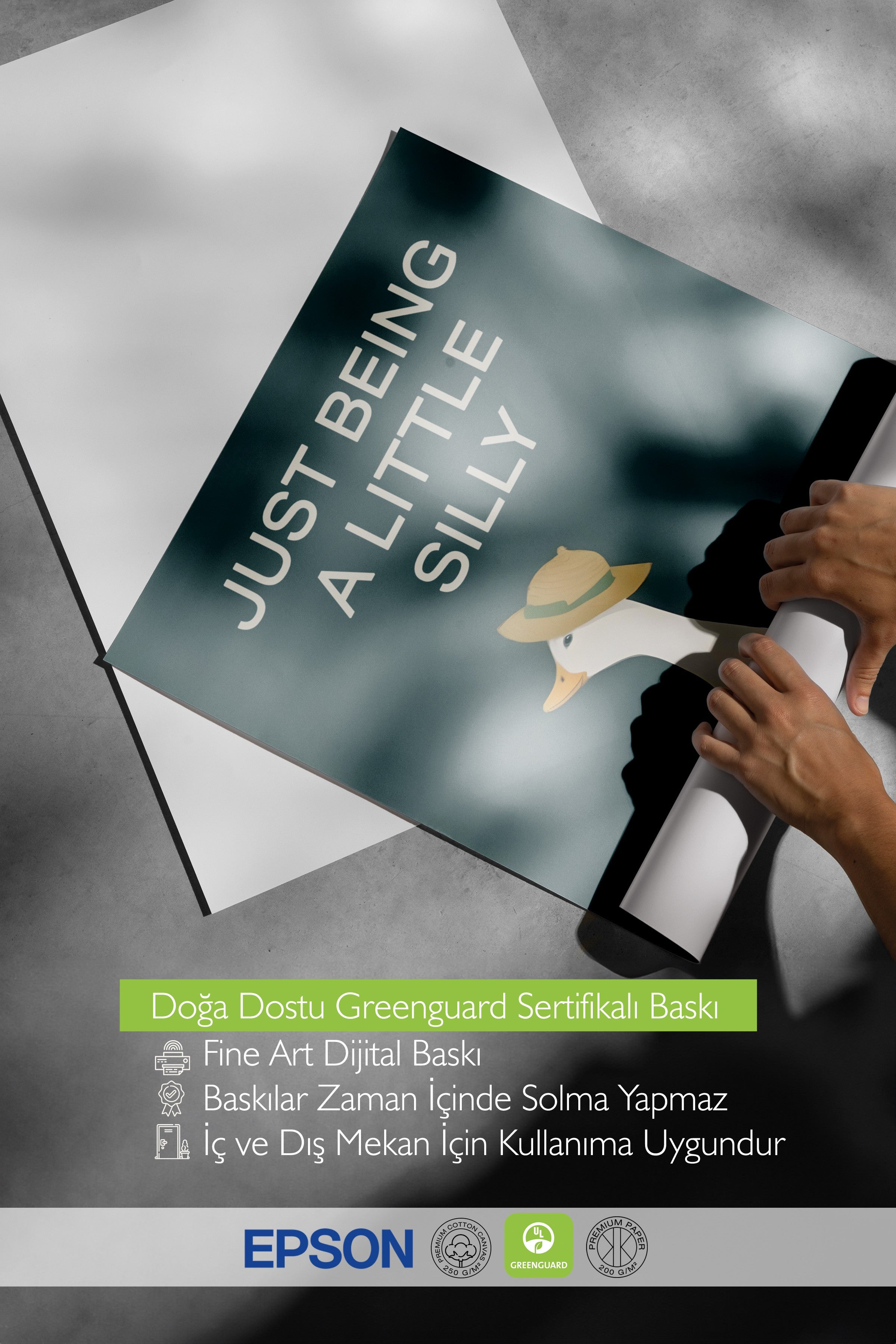 Çerçevesiz Poster, Silly Goose , Comfort Serisi Duvar Posteri, NO:108948