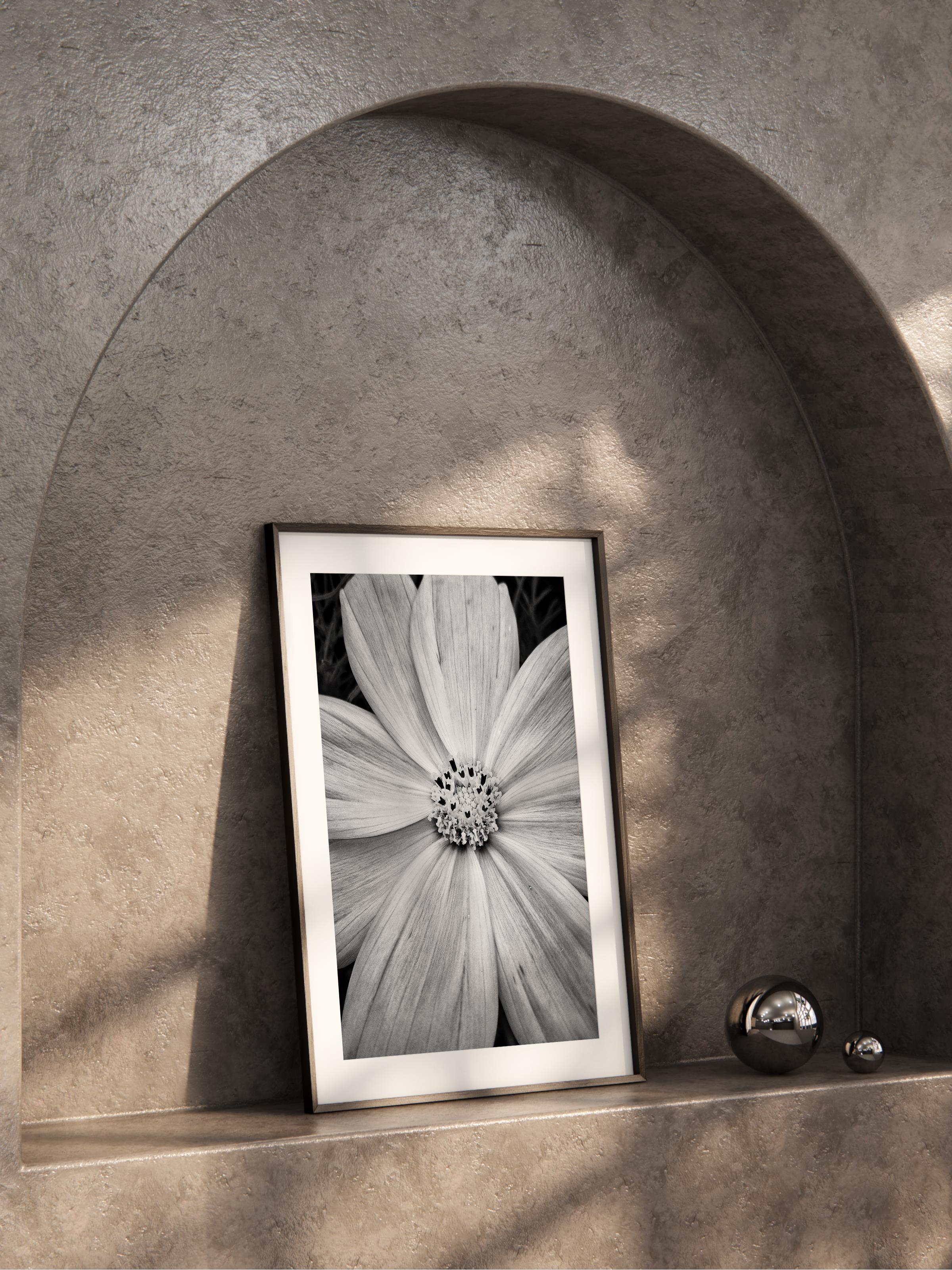 Çerçevesiz Poster, Siyah & Beyaz Fotoğraf No:13, HD Fotoğraf, Salon, Mutfak Duvar Dekoru Poster