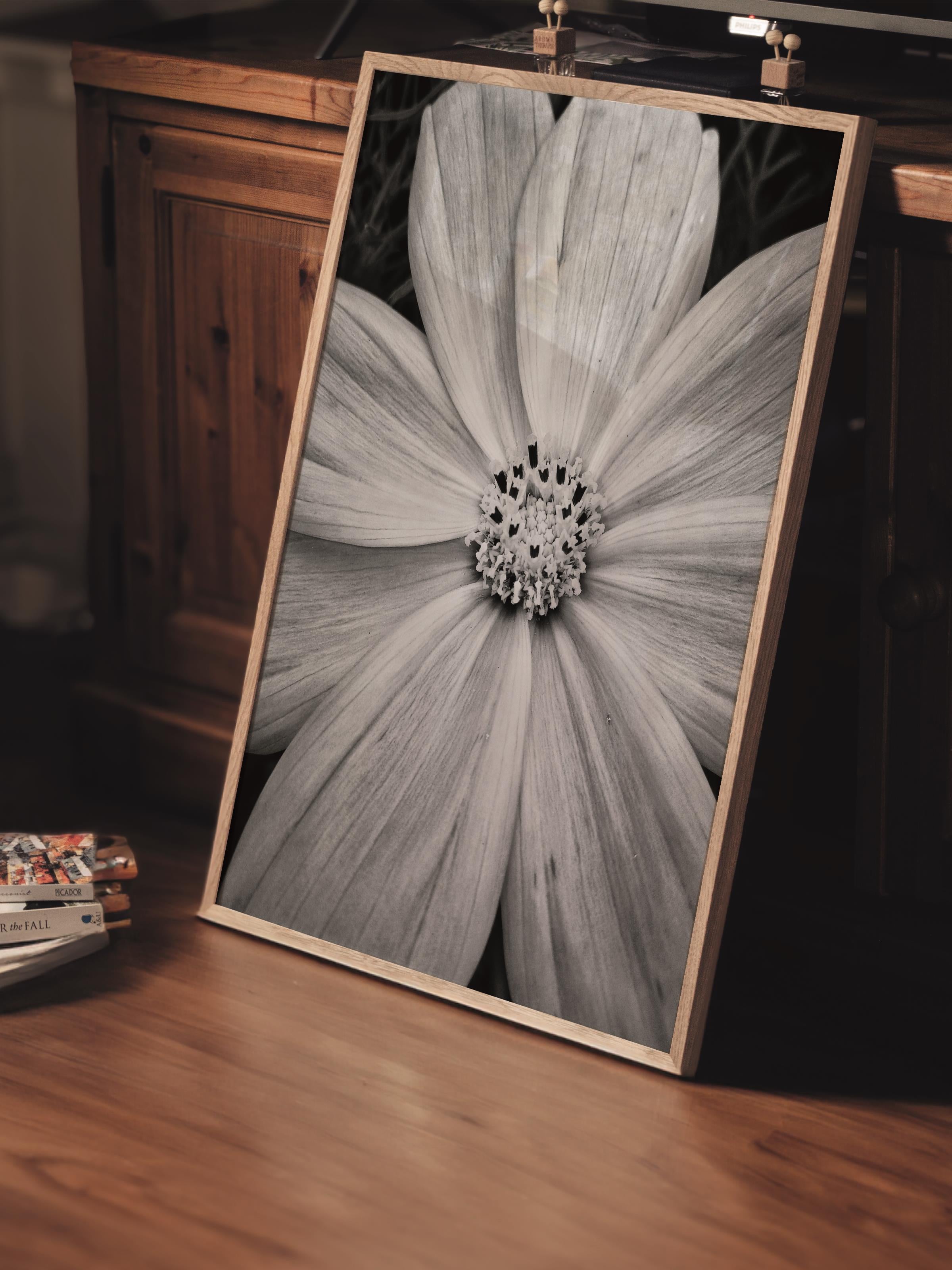 Çerçevesiz Poster, Siyah & Beyaz Fotoğraf No:13, HD Fotoğraf, Salon, Mutfak Duvar Dekoru Poster