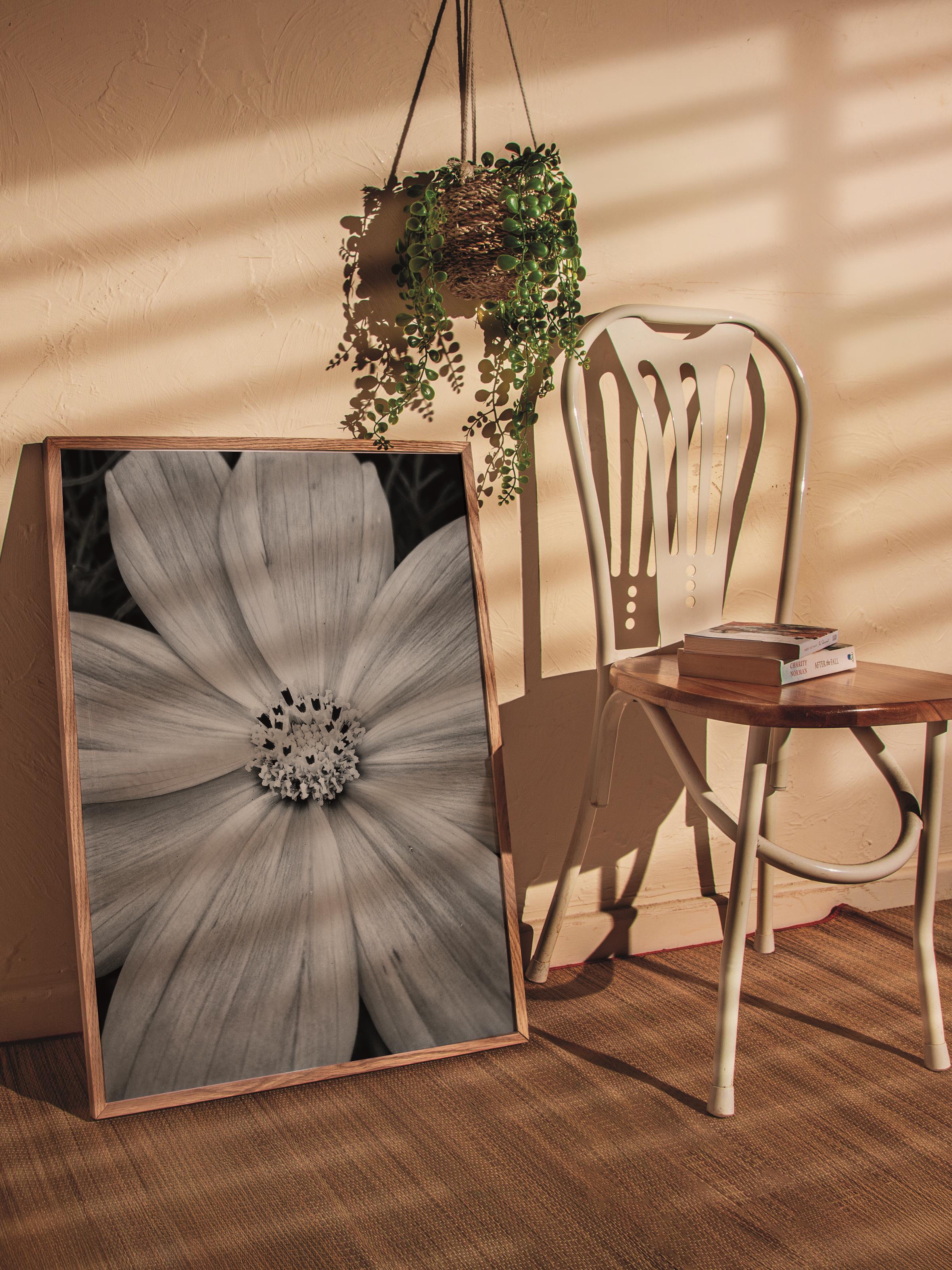 Çerçevesiz Poster, Siyah & Beyaz Fotoğraf No:13, HD Fotoğraf, Salon, Mutfak Duvar Dekoru Poster