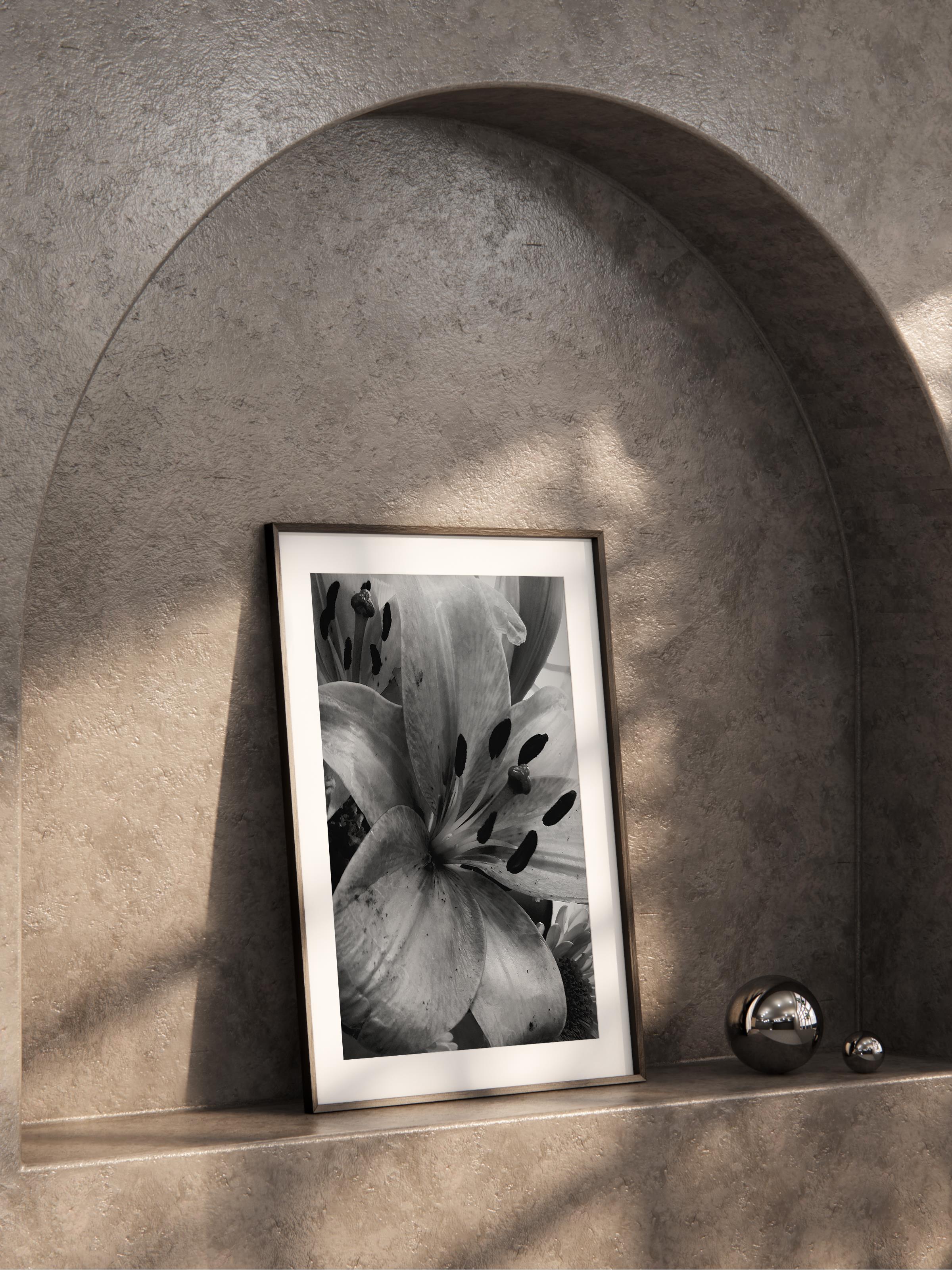 Çerçevesiz Poster, Siyah & Beyaz Fotoğraf No:14, HD Fotoğraf, Salon, Mutfak Duvar Dekoru Poster