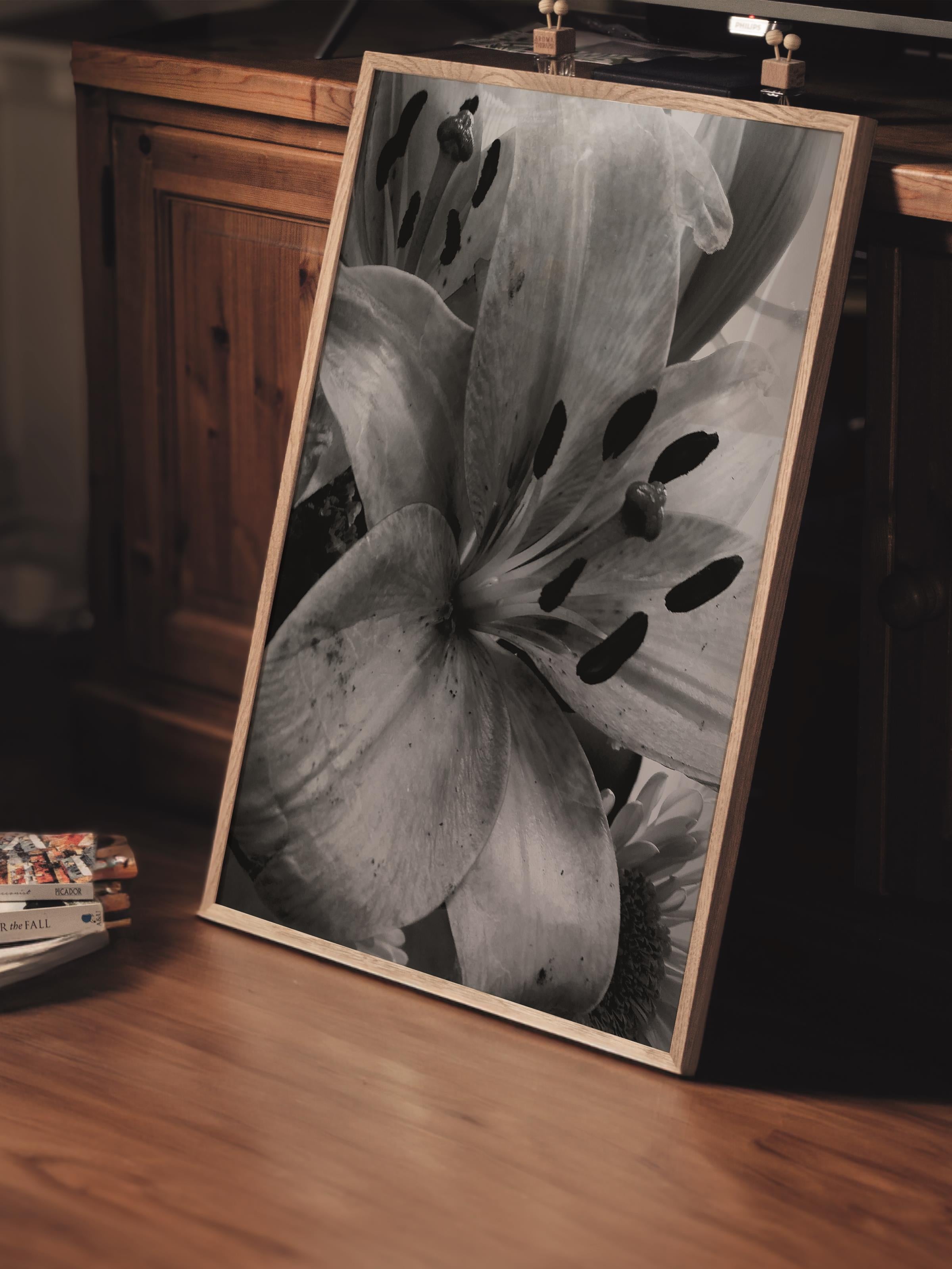 Çerçevesiz Poster, Siyah & Beyaz Fotoğraf No:14, HD Fotoğraf, Salon, Mutfak Duvar Dekoru Poster