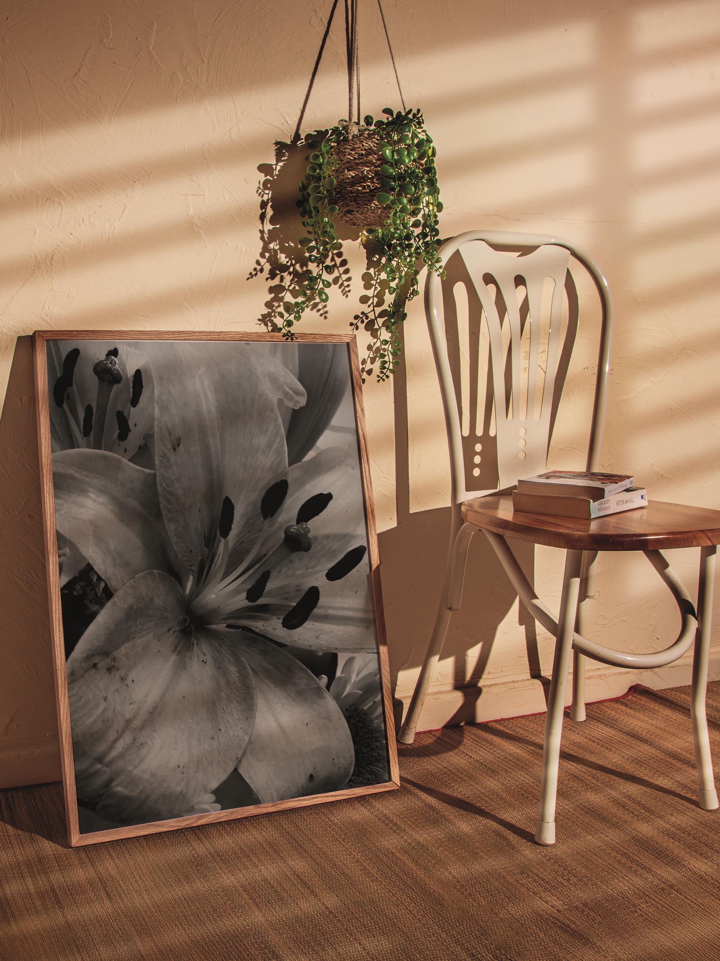 Çerçevesiz Poster, Siyah & Beyaz Fotoğraf No:14, HD Fotoğraf, Salon, Mutfak Duvar Dekoru Poster