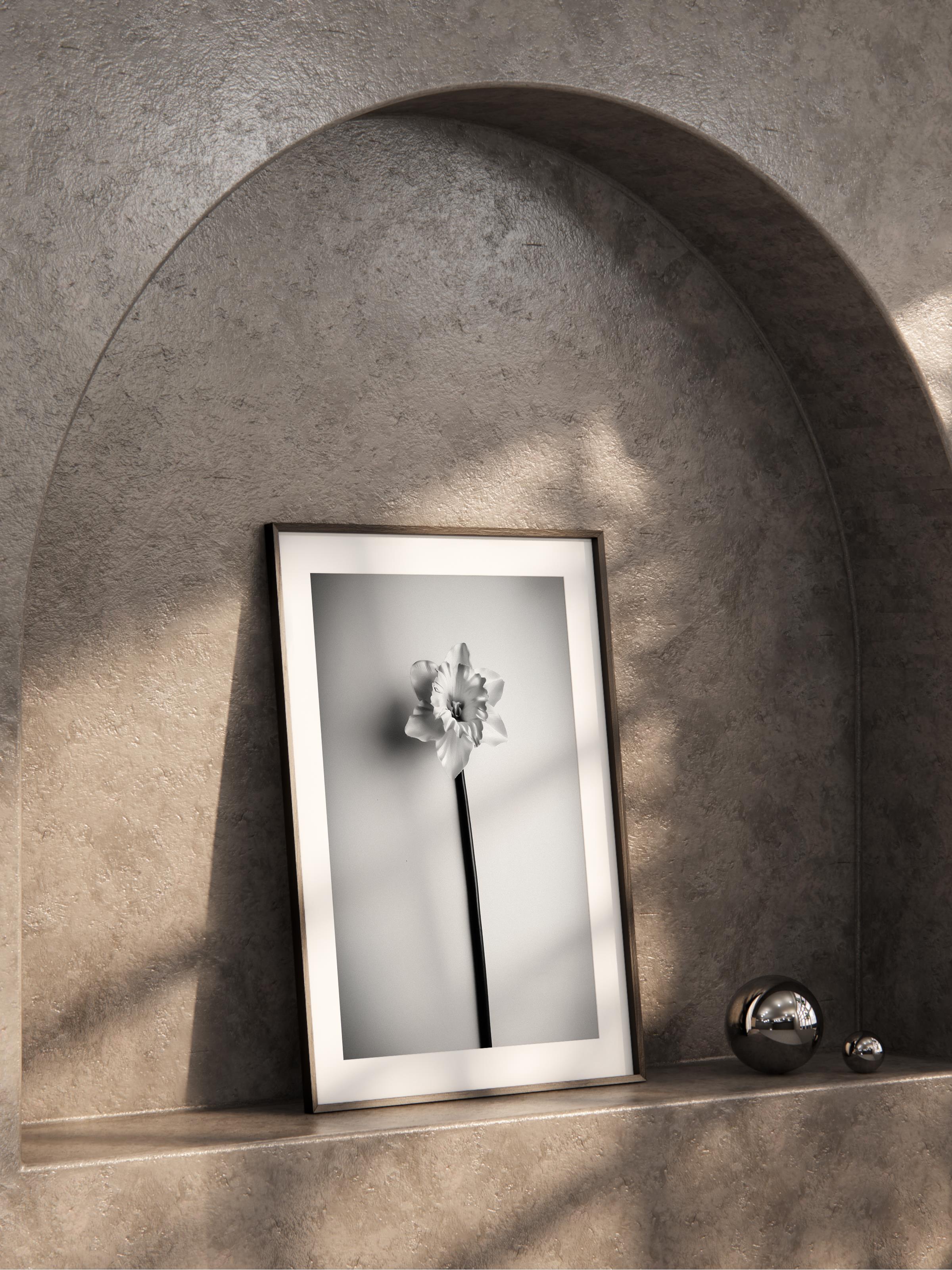 Çerçevesiz Poster, Siyah & Beyaz Fotoğraf No:16, HD Fotoğraf, Salon, Mutfak Duvar Dekoru Poster