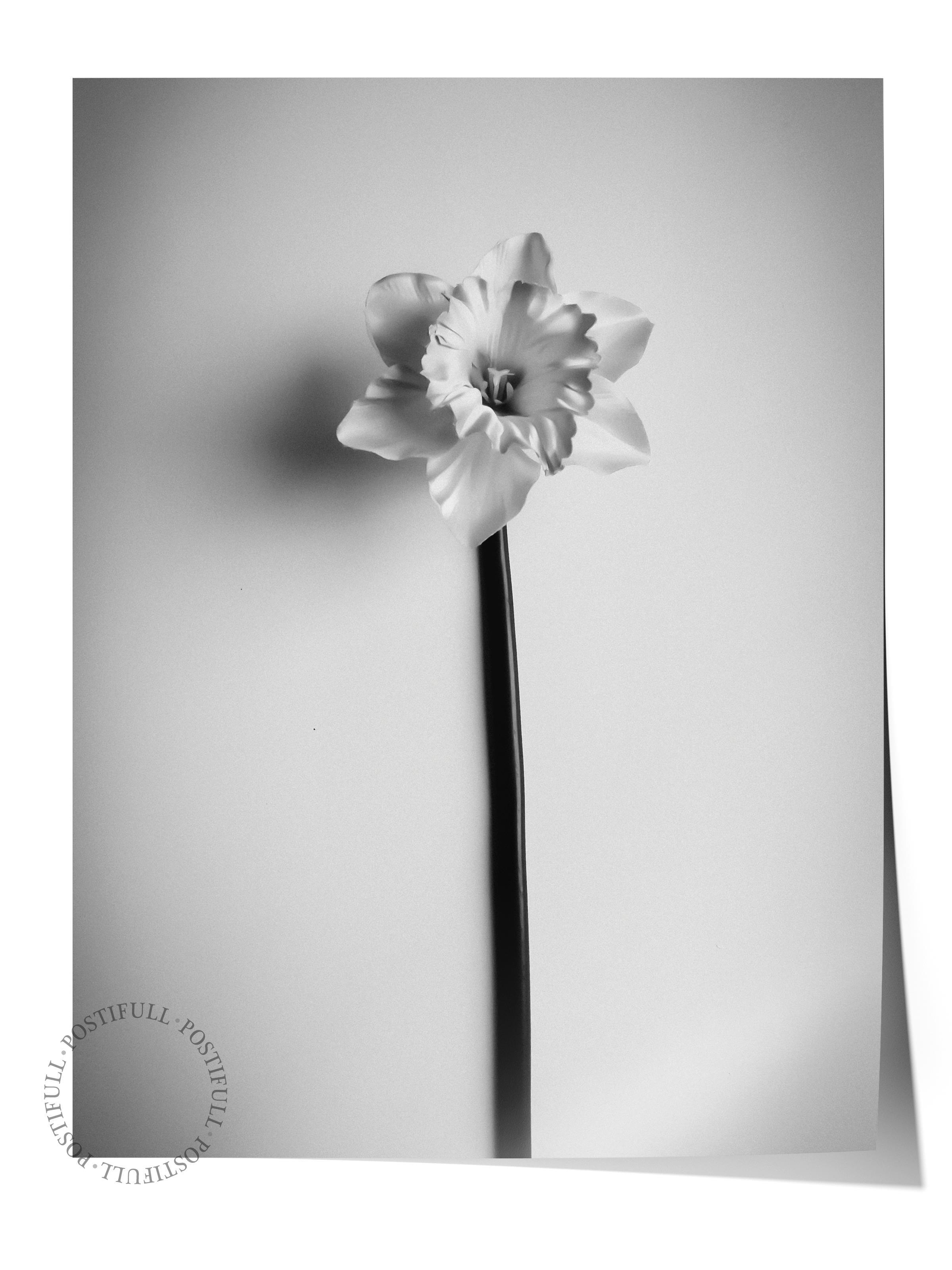 Çerçevesiz Poster, Siyah & Beyaz Fotoğraf No:16, HD Fotoğraf, Salon, Mutfak Duvar Dekoru Poster