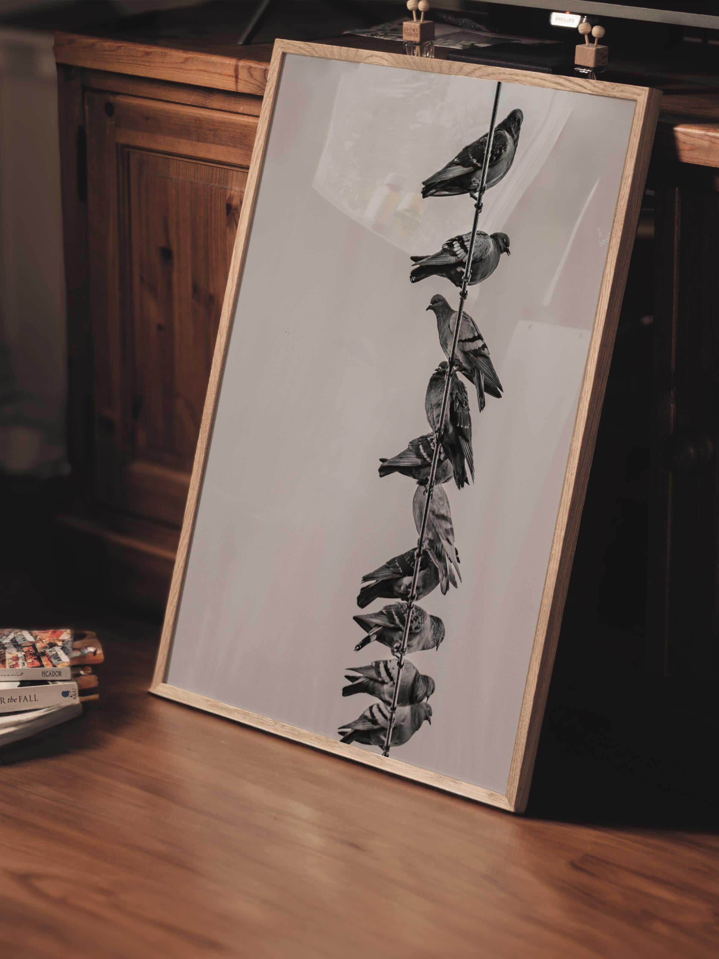 Çerçevesiz Poster, Siyah & Beyaz Fotoğraf No:31, HD Fotoğraf, Salon, Mutfak Duvar Dekoru Poster