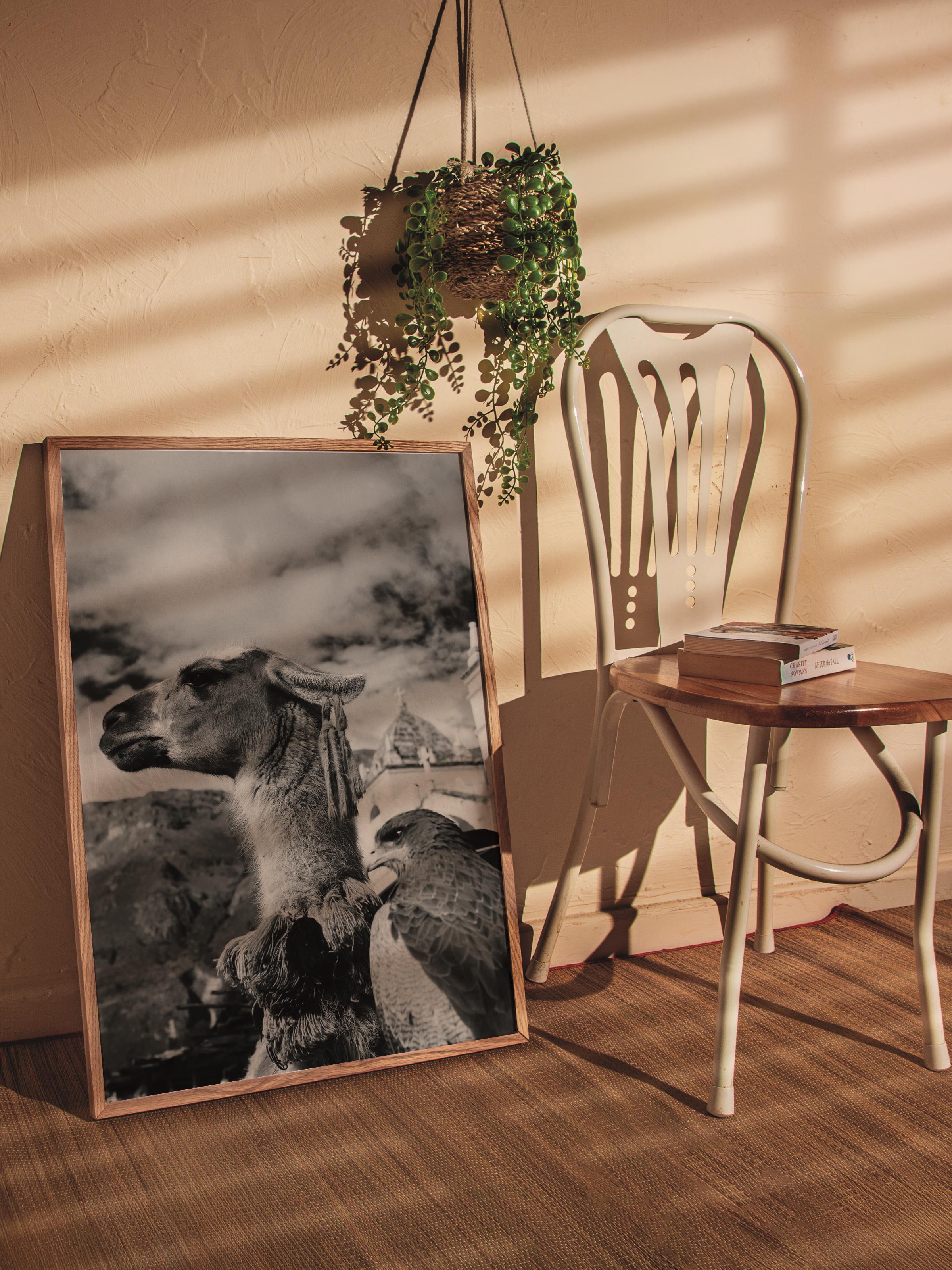 Çerçevesiz Poster, Siyah & Beyaz Fotoğraf No:33, HD Fotoğraf, Salon, Mutfak Duvar Dekoru Poster