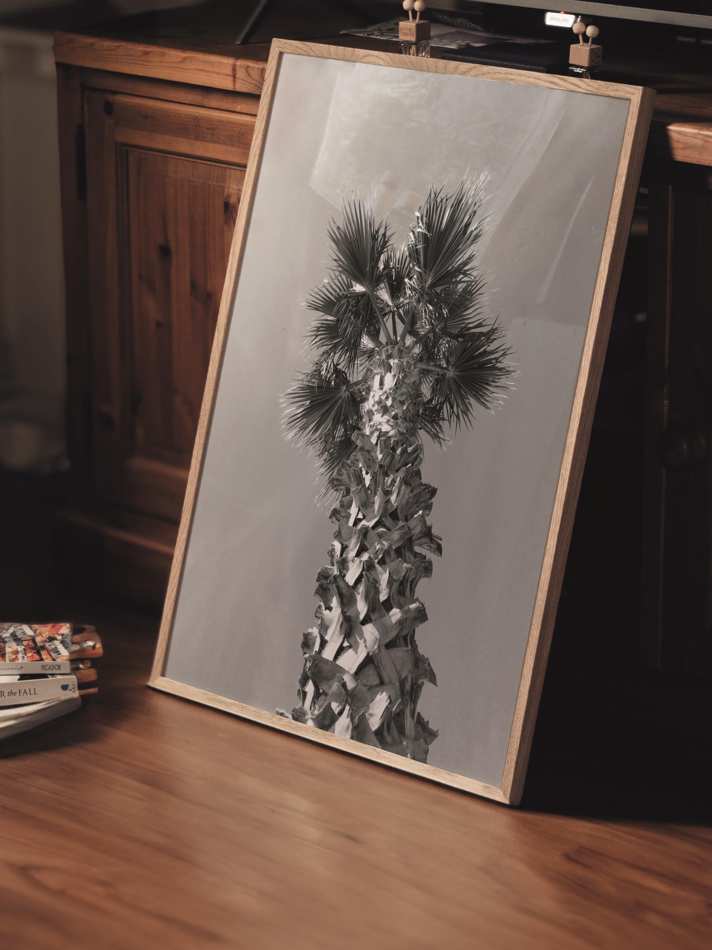 Çerçevesiz Poster, Siyah & Beyaz Fotoğraf No:34, HD Fotoğraf, Salon, Mutfak Duvar Dekoru Poster
