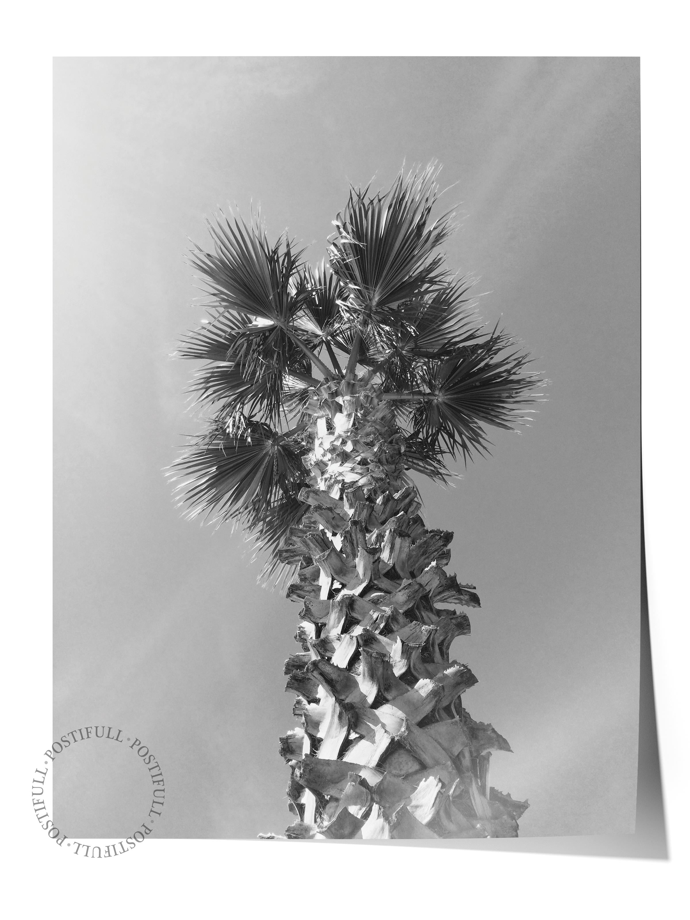 Çerçevesiz Poster, Siyah & Beyaz Fotoğraf No:34, HD Fotoğraf, Salon, Mutfak Duvar Dekoru Poster