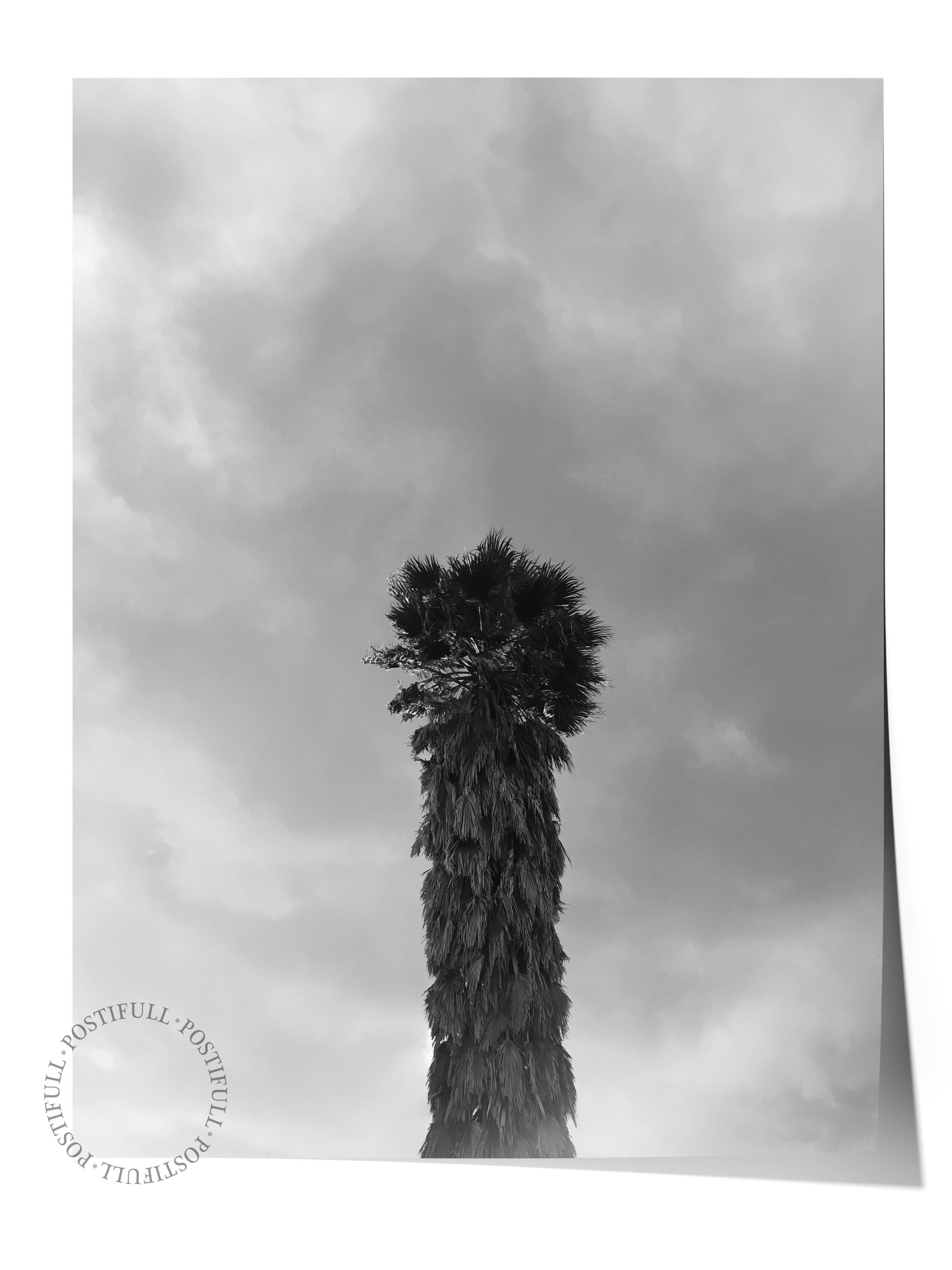 Çerçevesiz Poster, Siyah & Beyaz Fotoğraf No:41, HD Fotoğraf, Salon, Mutfak Duvar Dekoru Poster