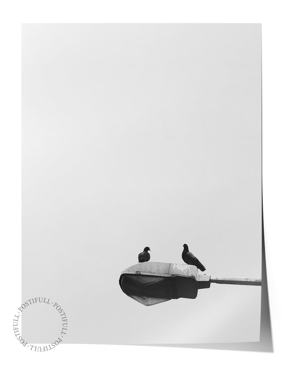 Kuşlar ve Sokak Lambası Fotoğraf Çerçevesiz Poster