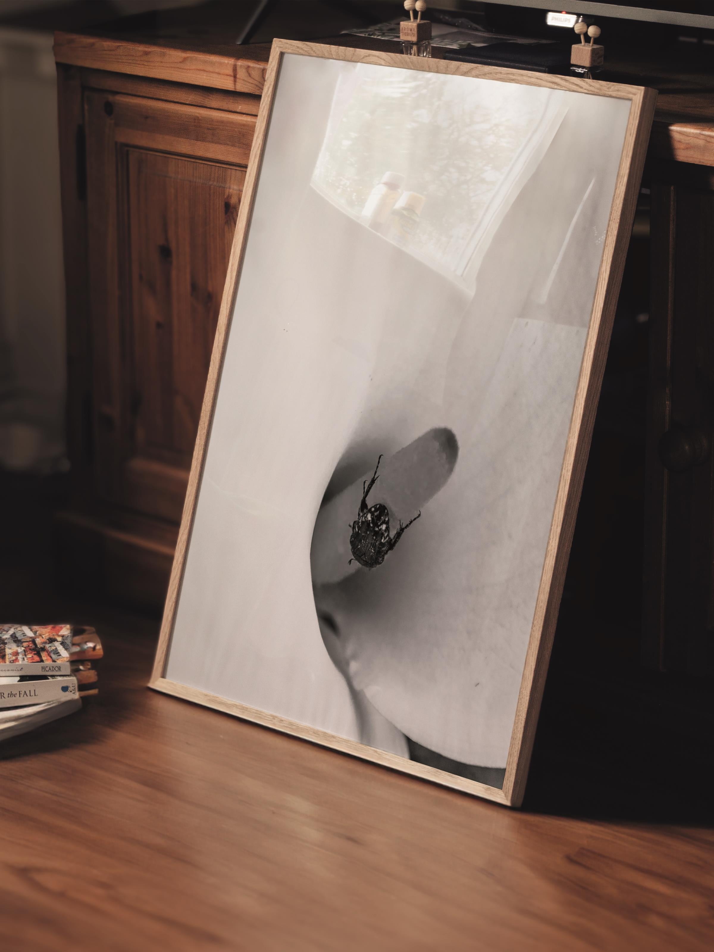Çerçevesiz Poster, Siyah & Beyaz Fotoğraf No:7, HD Fotoğraf, Salon, Mutfak Duvar Dekoru Poster