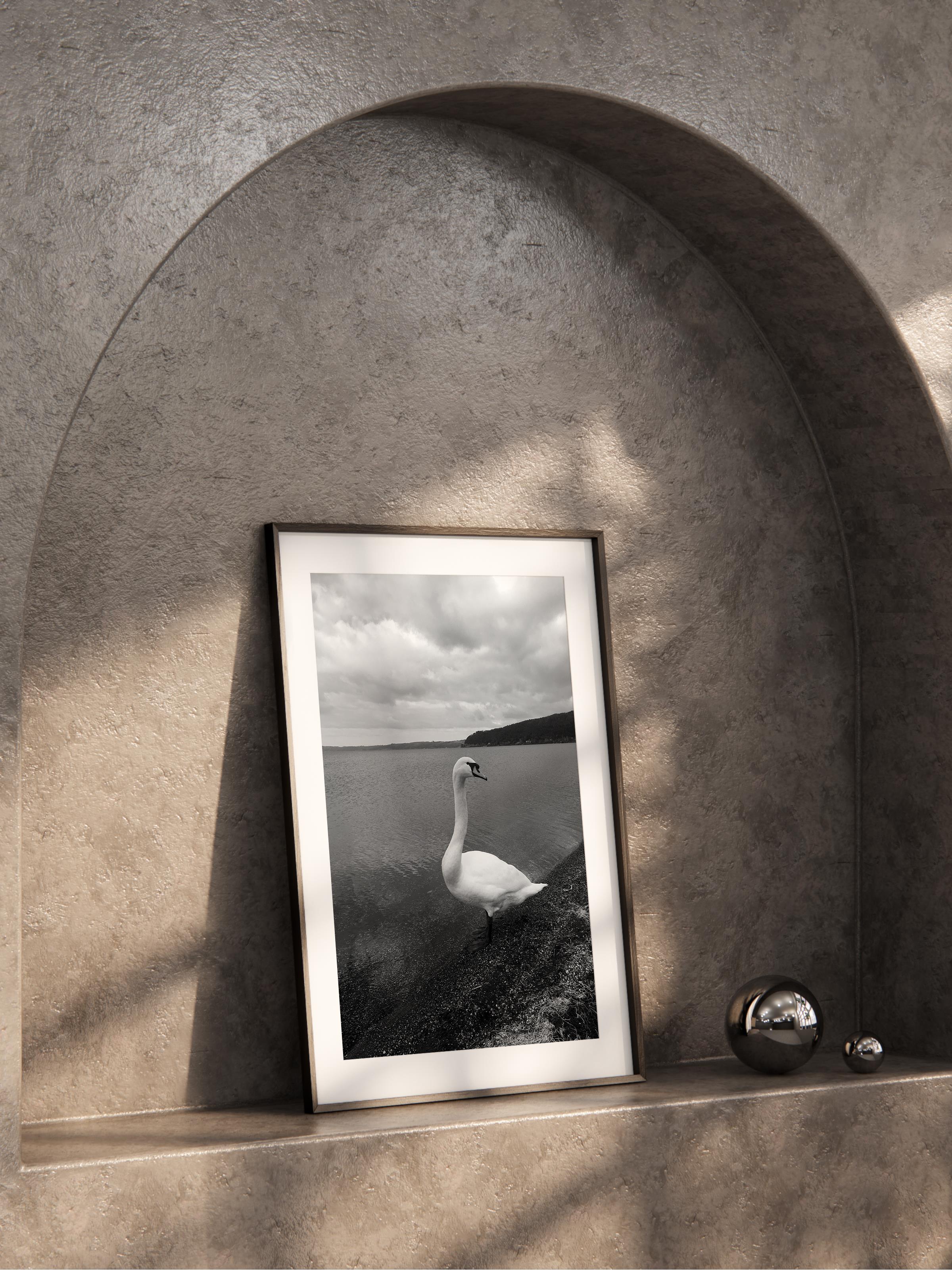 Çerçevesiz Poster, Siyah & Beyaz Fotoğraf No:76, HD Fotoğraf, Salon, Mutfak Duvar Dekoru Poster