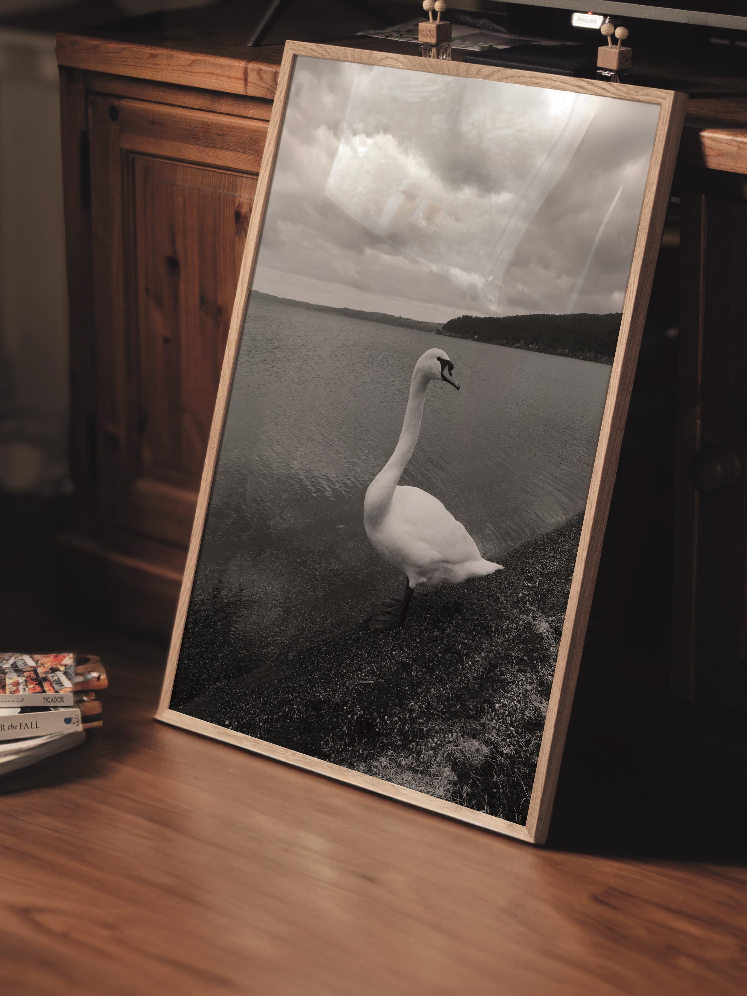 Çerçevesiz Poster, Siyah & Beyaz Fotoğraf No:76, HD Fotoğraf, Salon, Mutfak Duvar Dekoru Poster