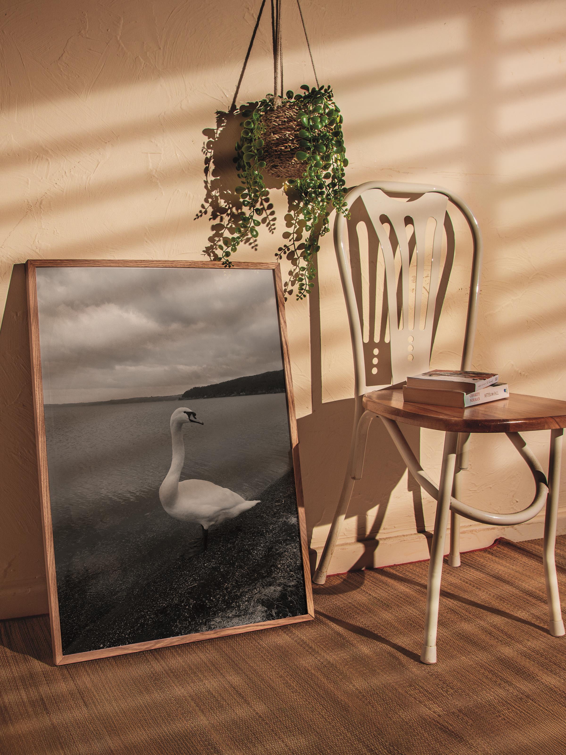 Çerçevesiz Poster, Siyah & Beyaz Fotoğraf No:76, HD Fotoğraf, Salon, Mutfak Duvar Dekoru Poster