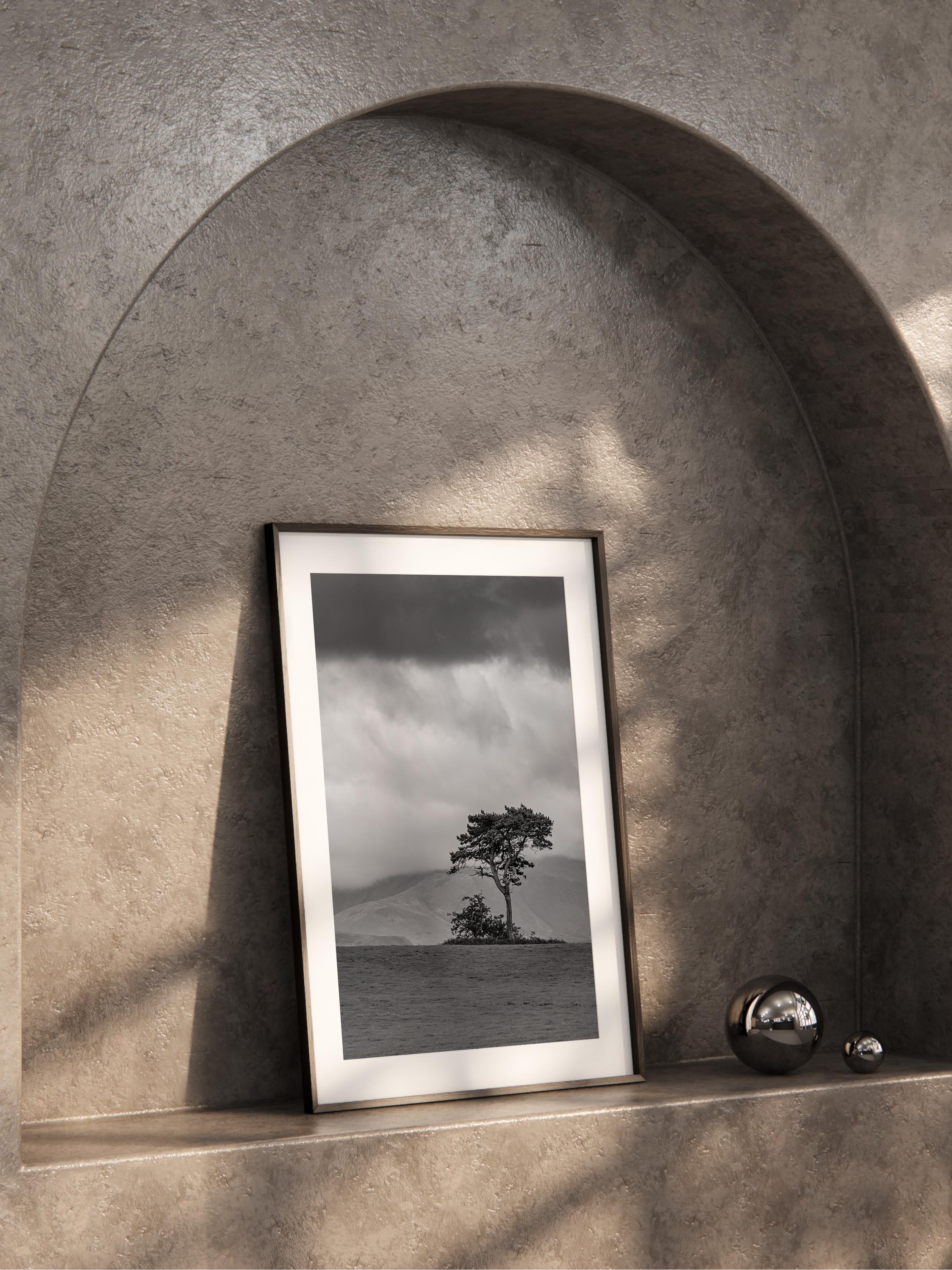 Çerçevesiz Poster, Siyah & Beyaz Fotoğraf No:78, HD Fotoğraf, Salon, Mutfak Duvar Dekoru Poster