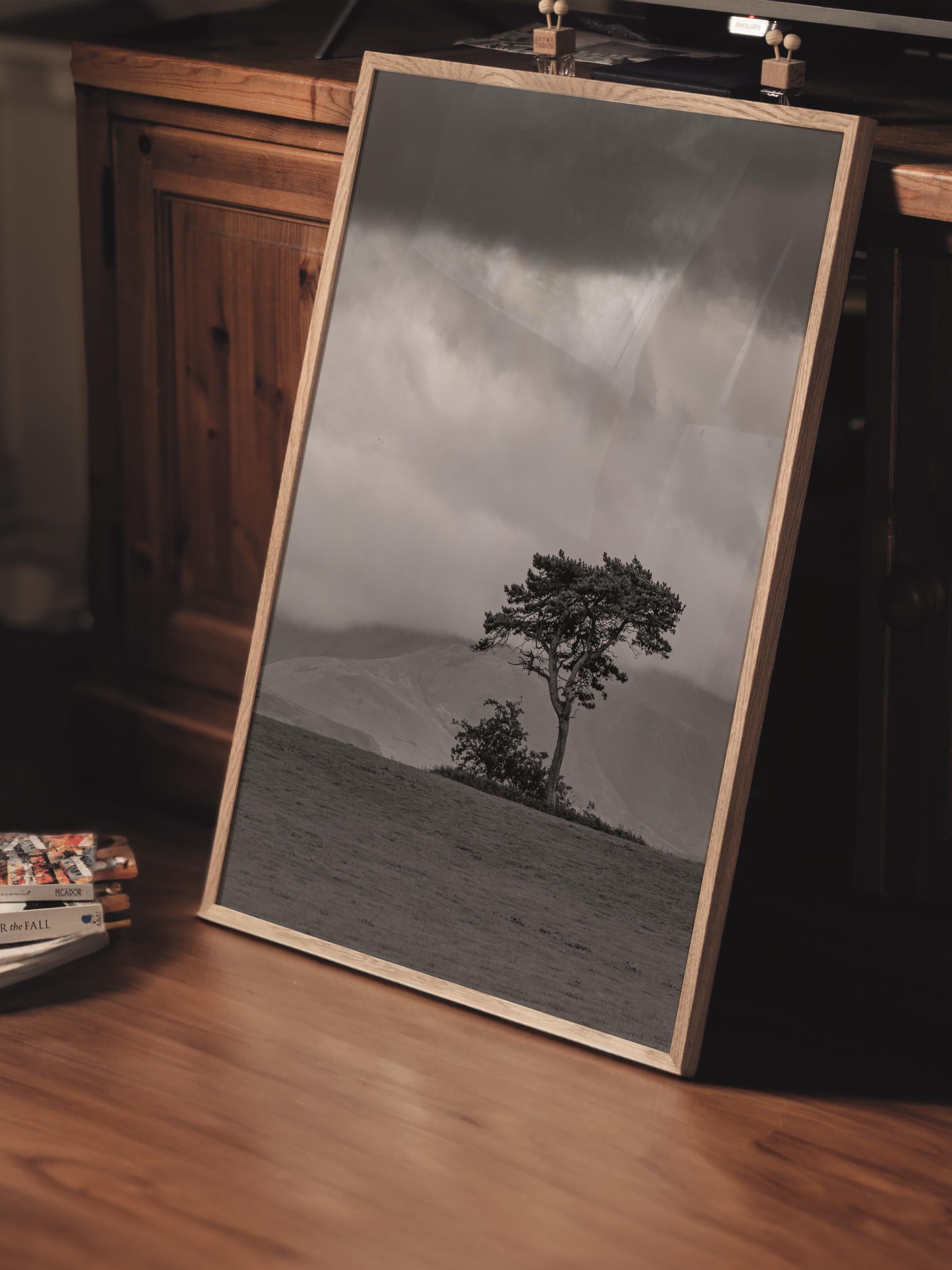 Çerçevesiz Poster, Siyah & Beyaz Fotoğraf No:78, HD Fotoğraf, Salon, Mutfak Duvar Dekoru Poster