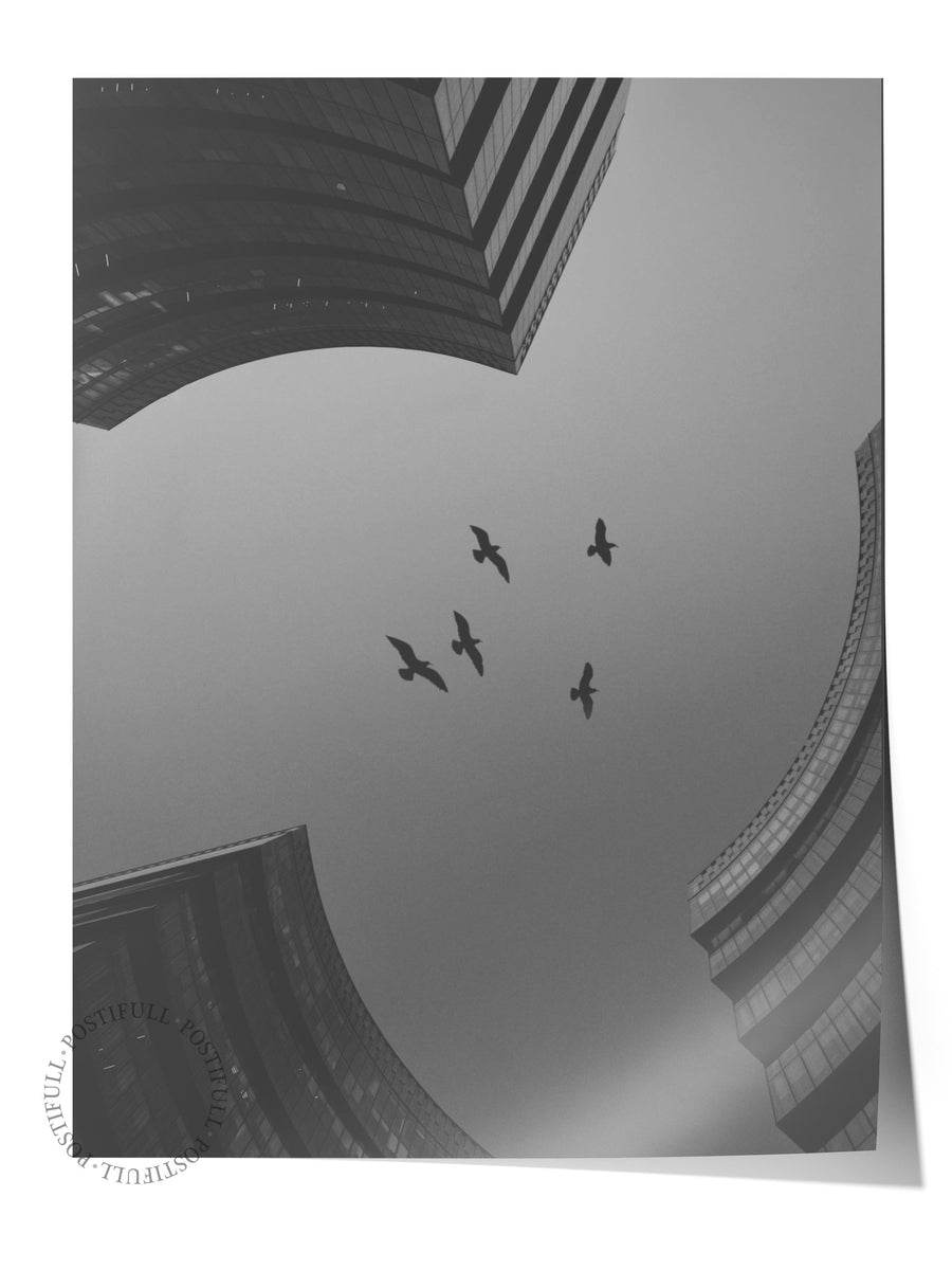 Kuşlar ve Mimari Fotoğraf Çerçevesiz Poster
