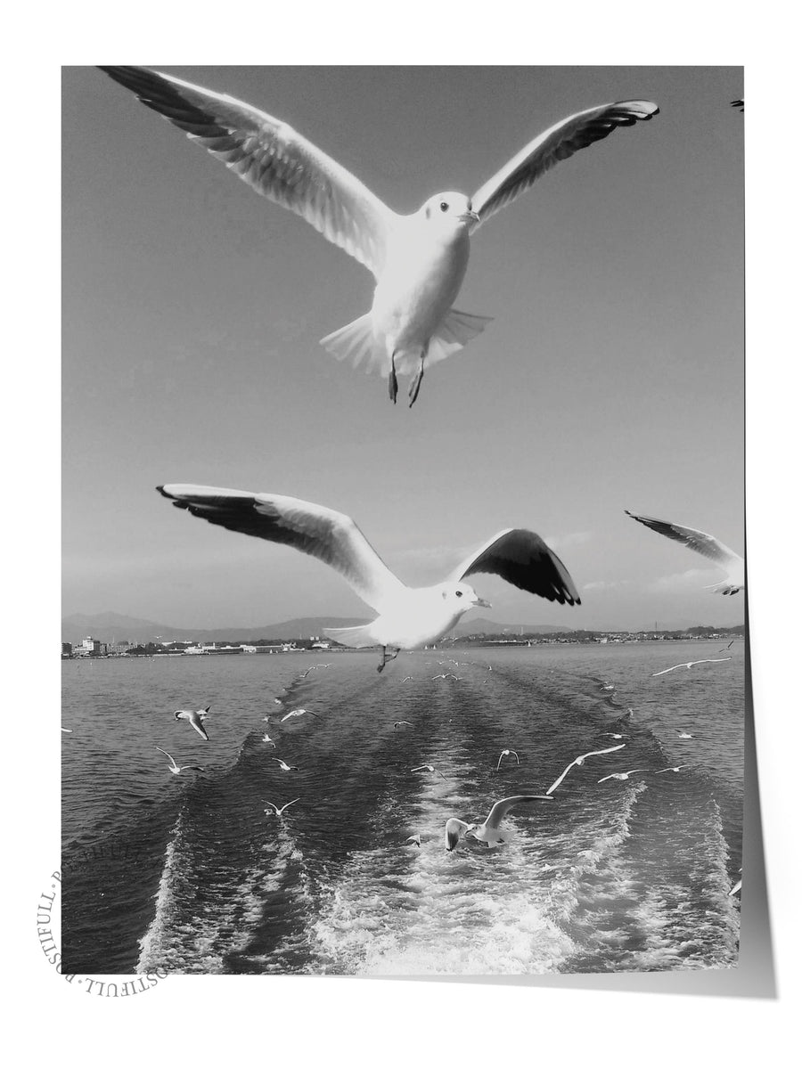 Martılar ve Deniz Manzarası Fotoğraf Çerçevesiz Poster