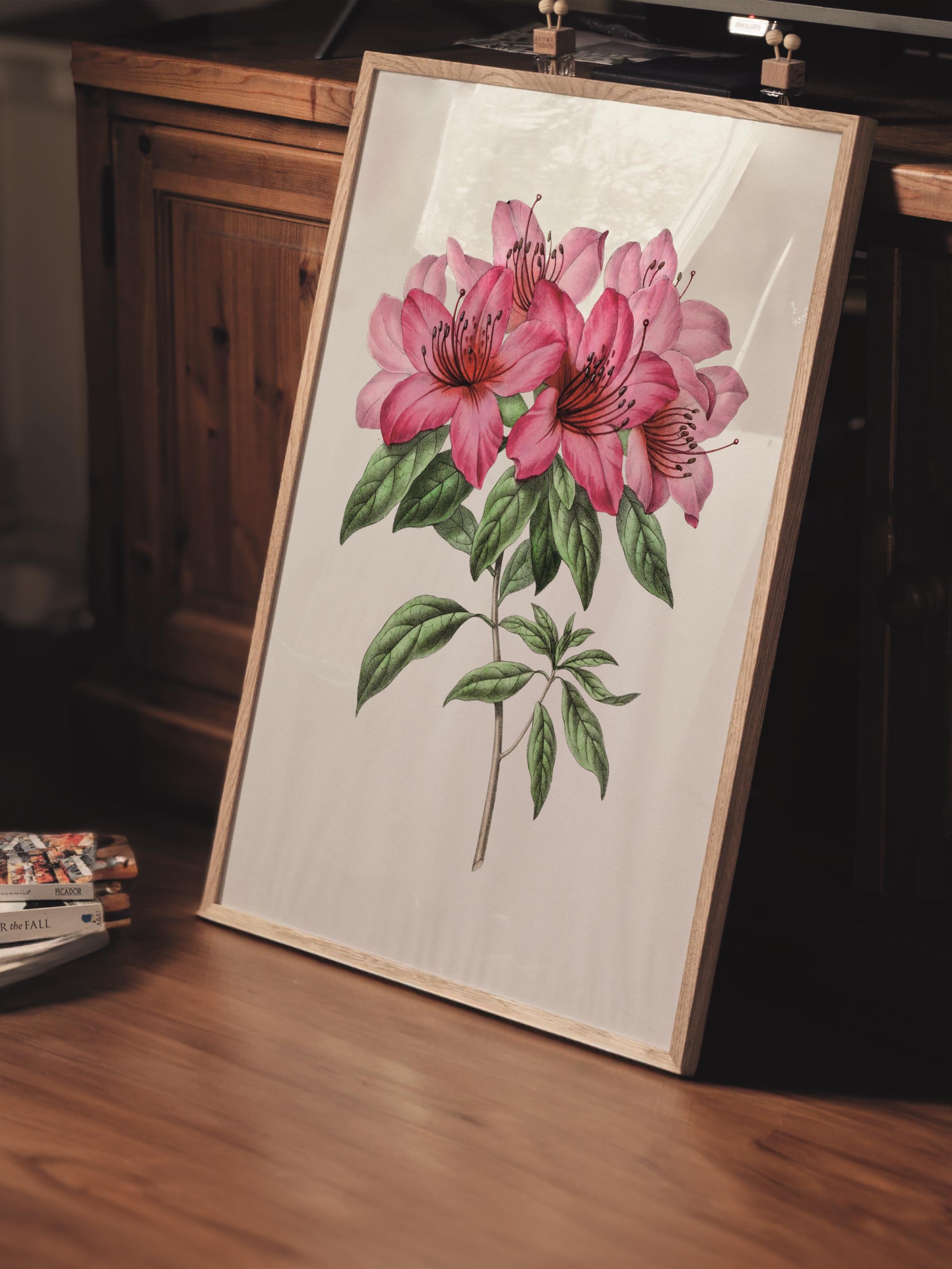 Çerçevesiz Poster Tablo, Duvar Posteri, Kağıt Poster, Pembe Pivoine , Maximalist No:259