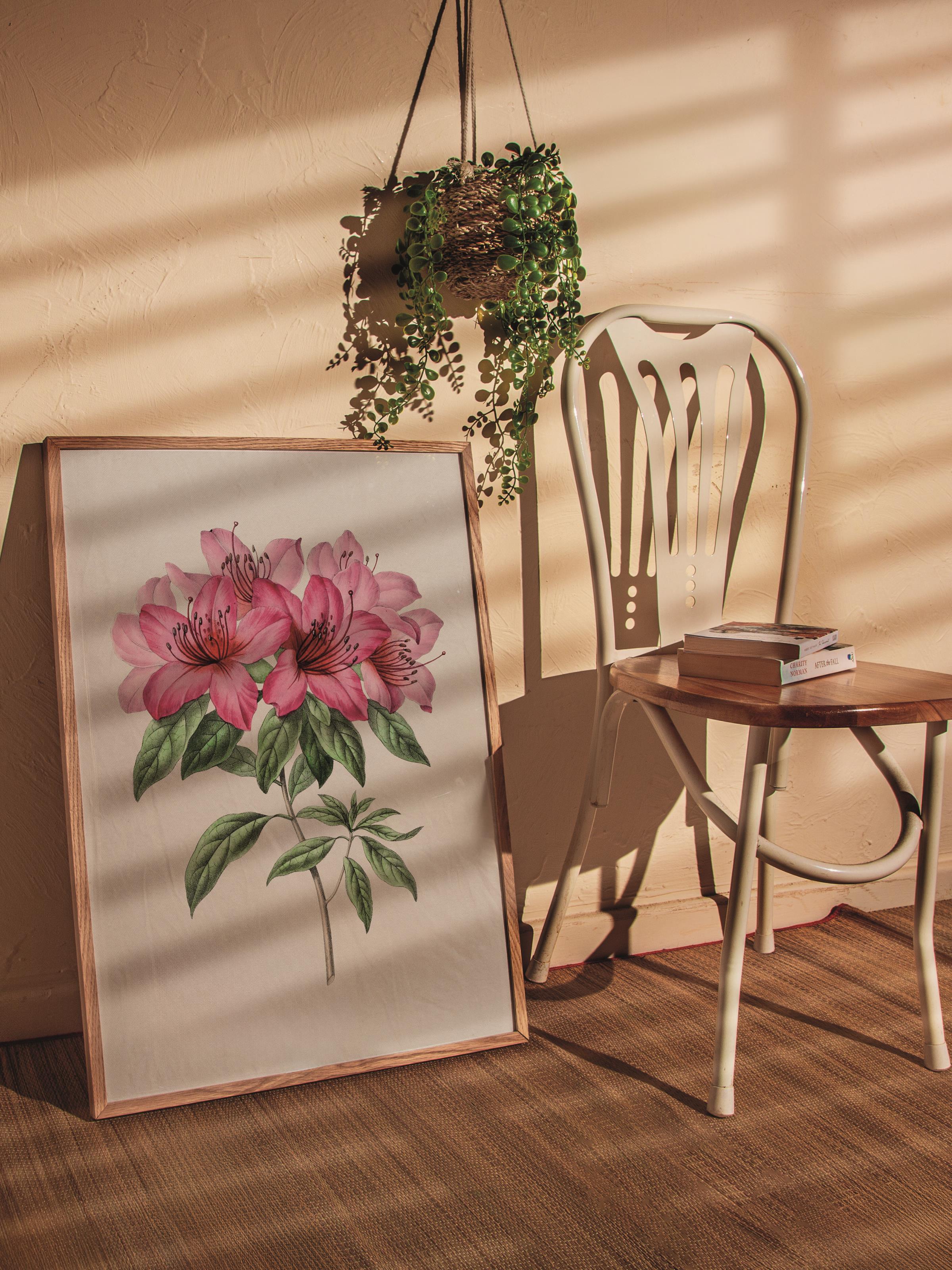 Çerçevesiz Poster Tablo, Duvar Posteri, Kağıt Poster, Pembe Pivoine , Maximalist No:259
