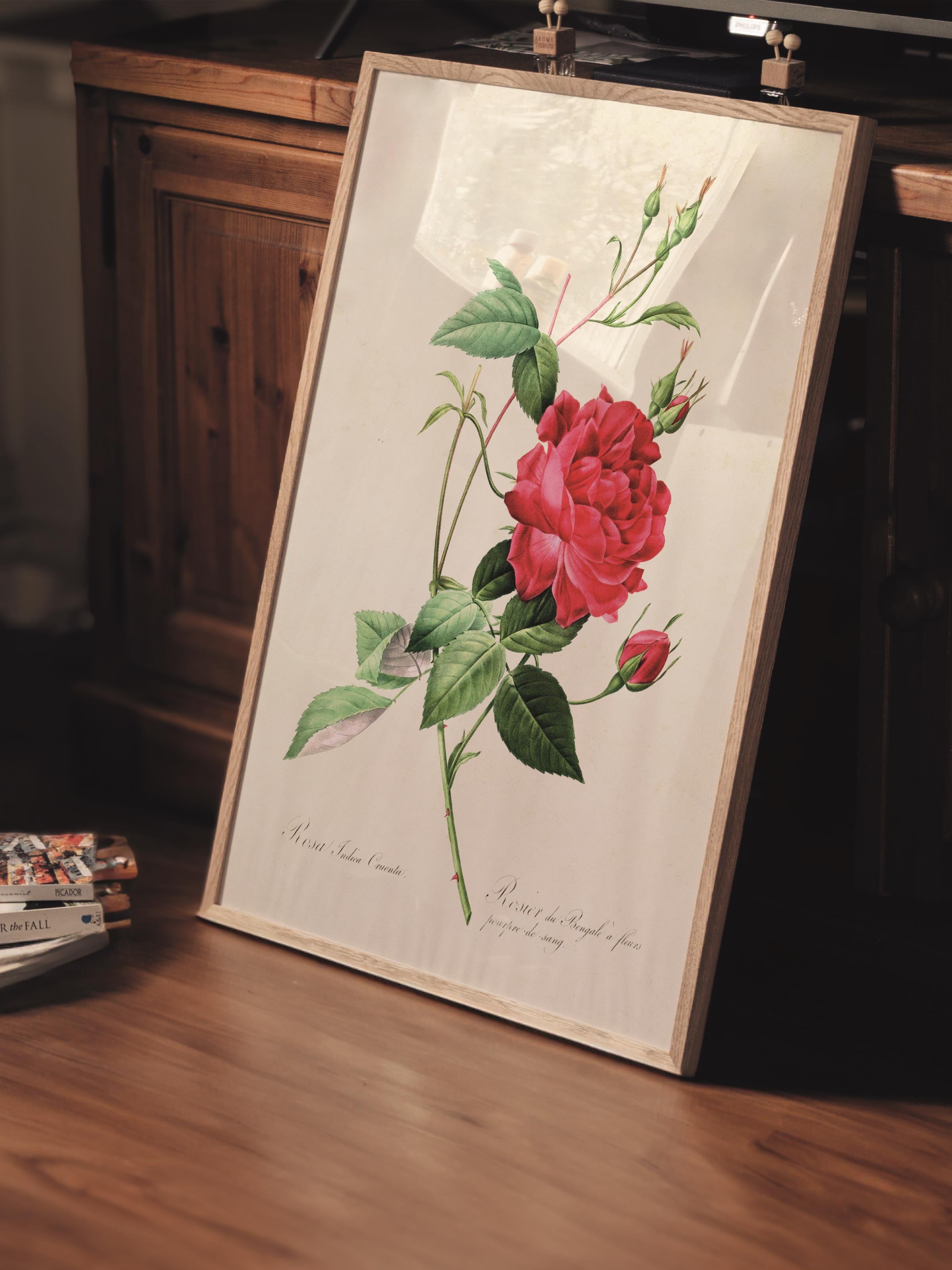 Çerçevesiz Poster Tablo, Duvar Posteri, Kağıt Poster, Kırmızı Güller , Maximalist No:262