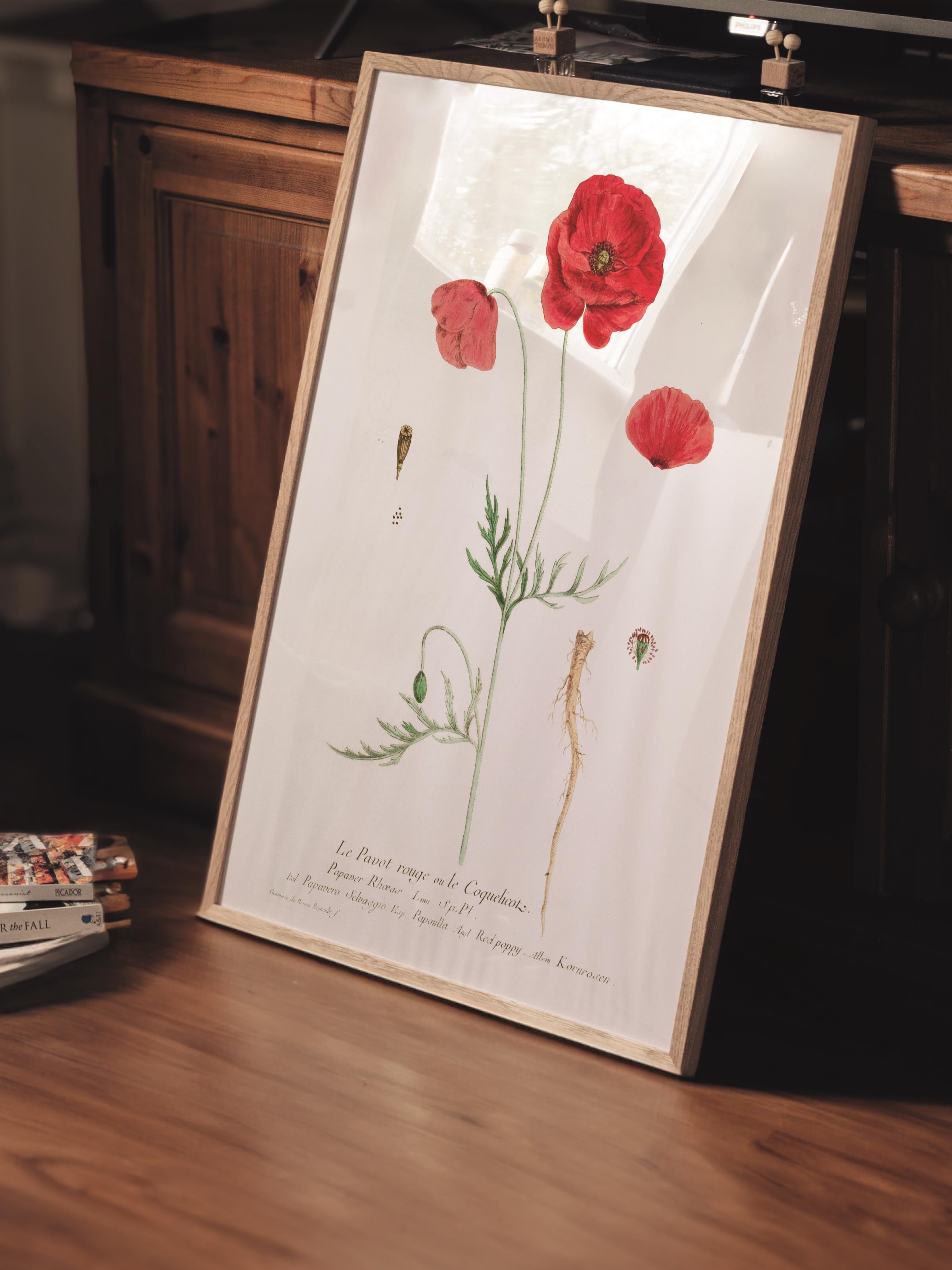 Çerçevesiz Poster Tablo, Duvar Posteri, Kağıt Poster, Gelincik Tarlası , Maximalist No:211
