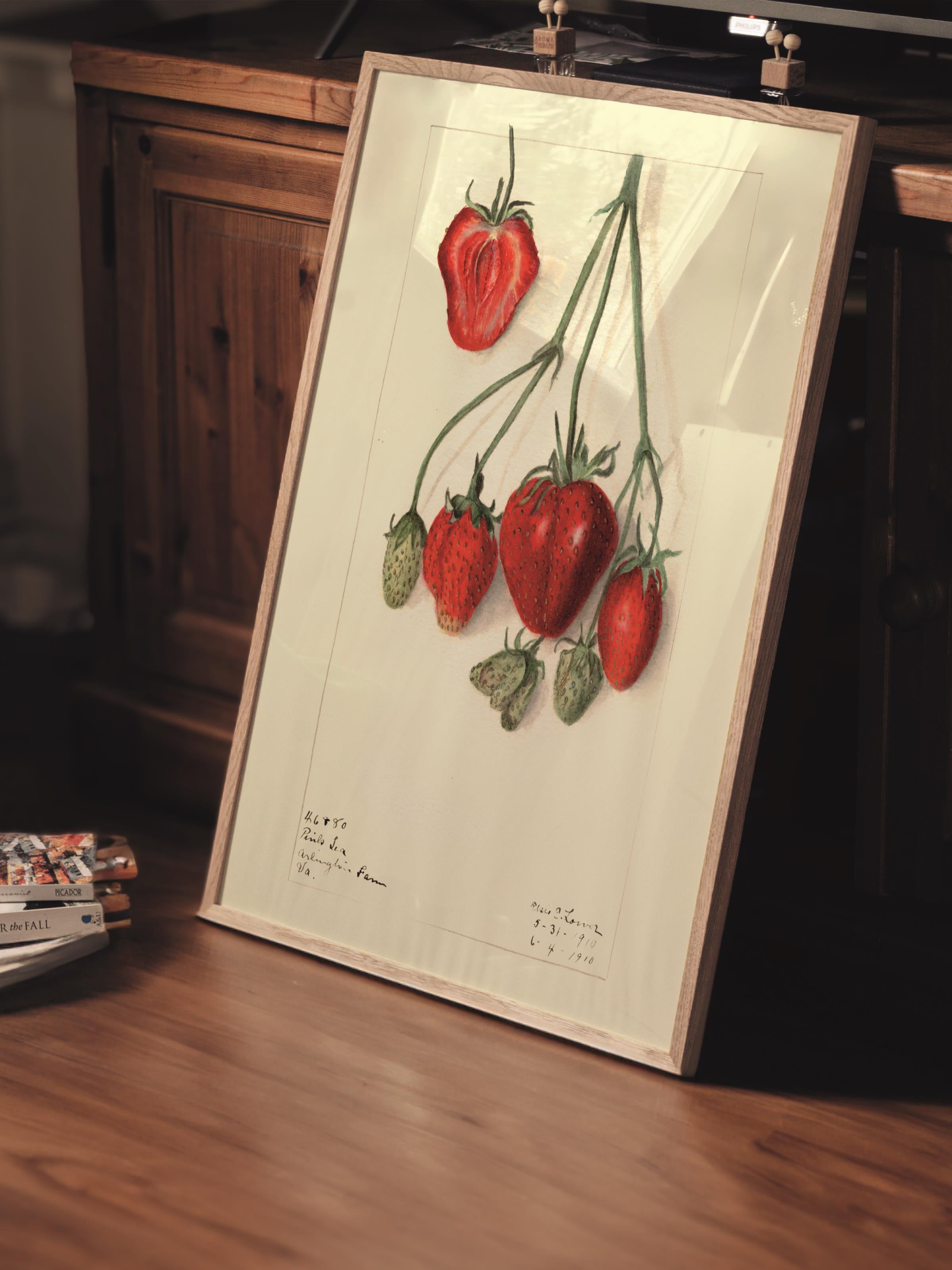 Çerçevesiz Poster Tablo, Duvar Posteri, Kağıt Poster, Kirazın Minimalizmi , Maximalist No:206
