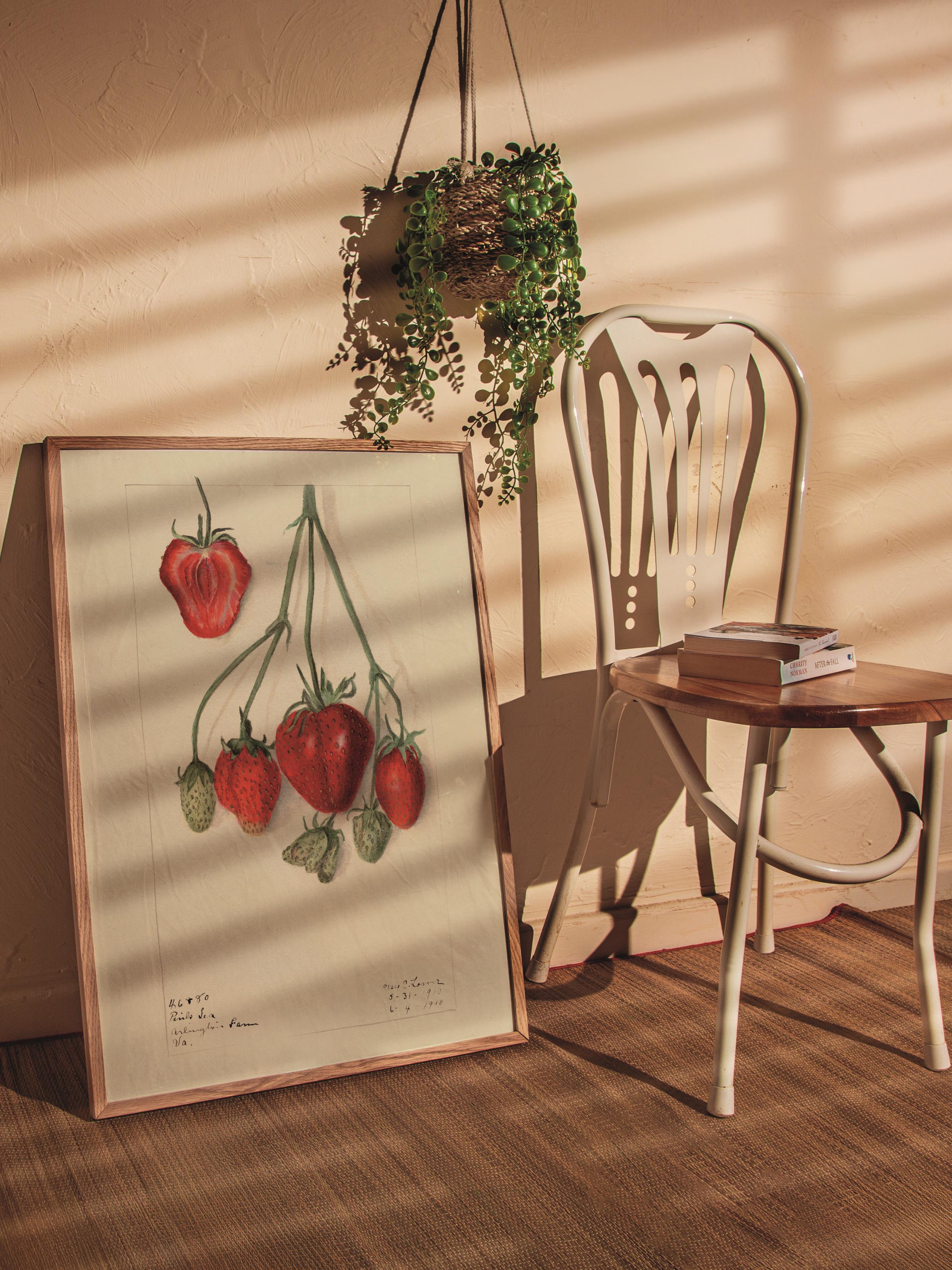 Çerçevesiz Poster Tablo, Duvar Posteri, Kağıt Poster, Kirazın Minimalizmi , Maximalist No:206