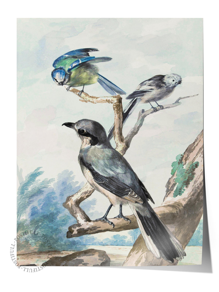 Dalda Kuşlar Maximalist Çerçevesiz Poster