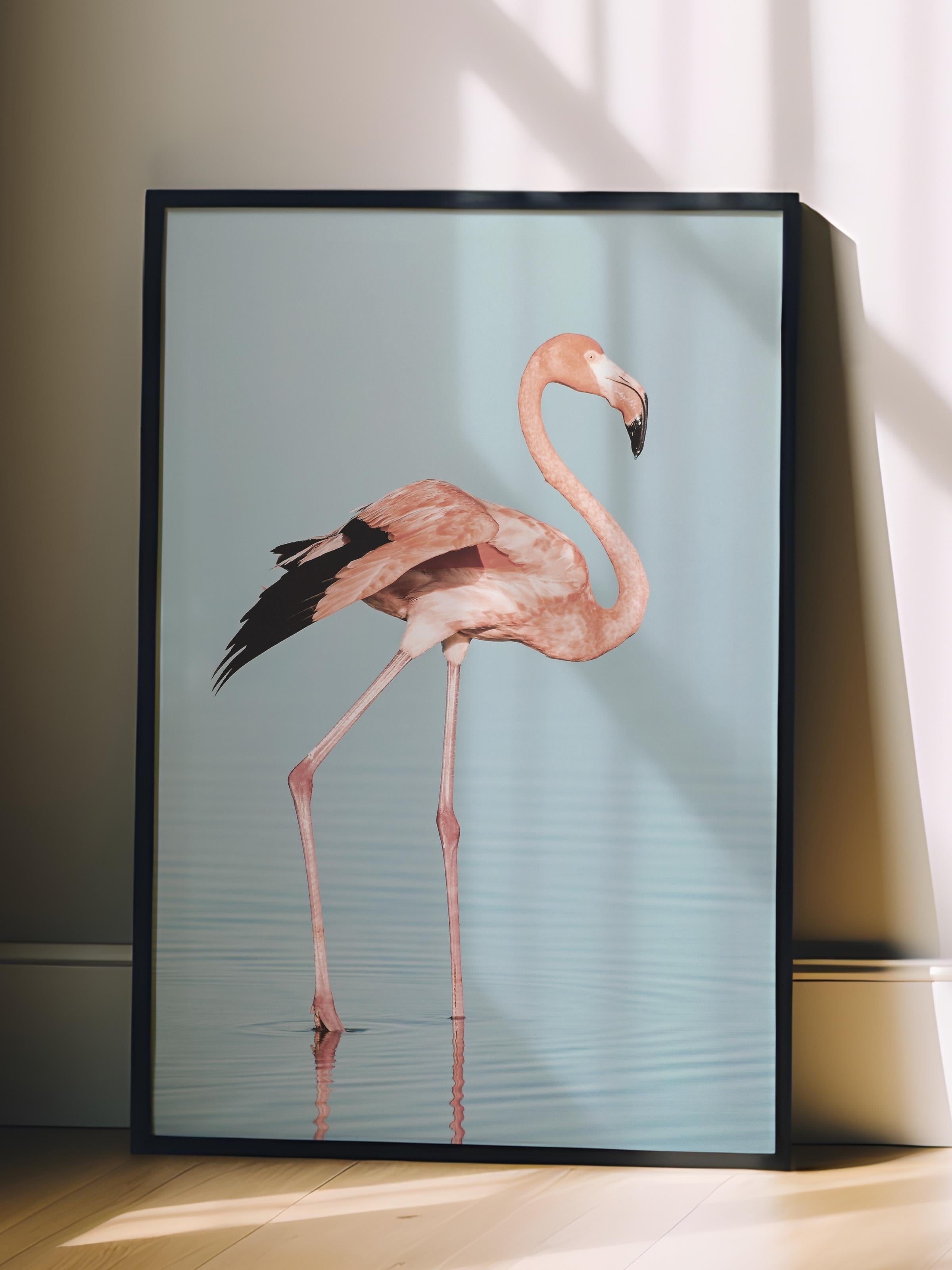 Çerçevesiz Poster, Yaz Temalı Tablo NO:113, Flamingo Fotoğrafı, Pembe Poster, Dikey