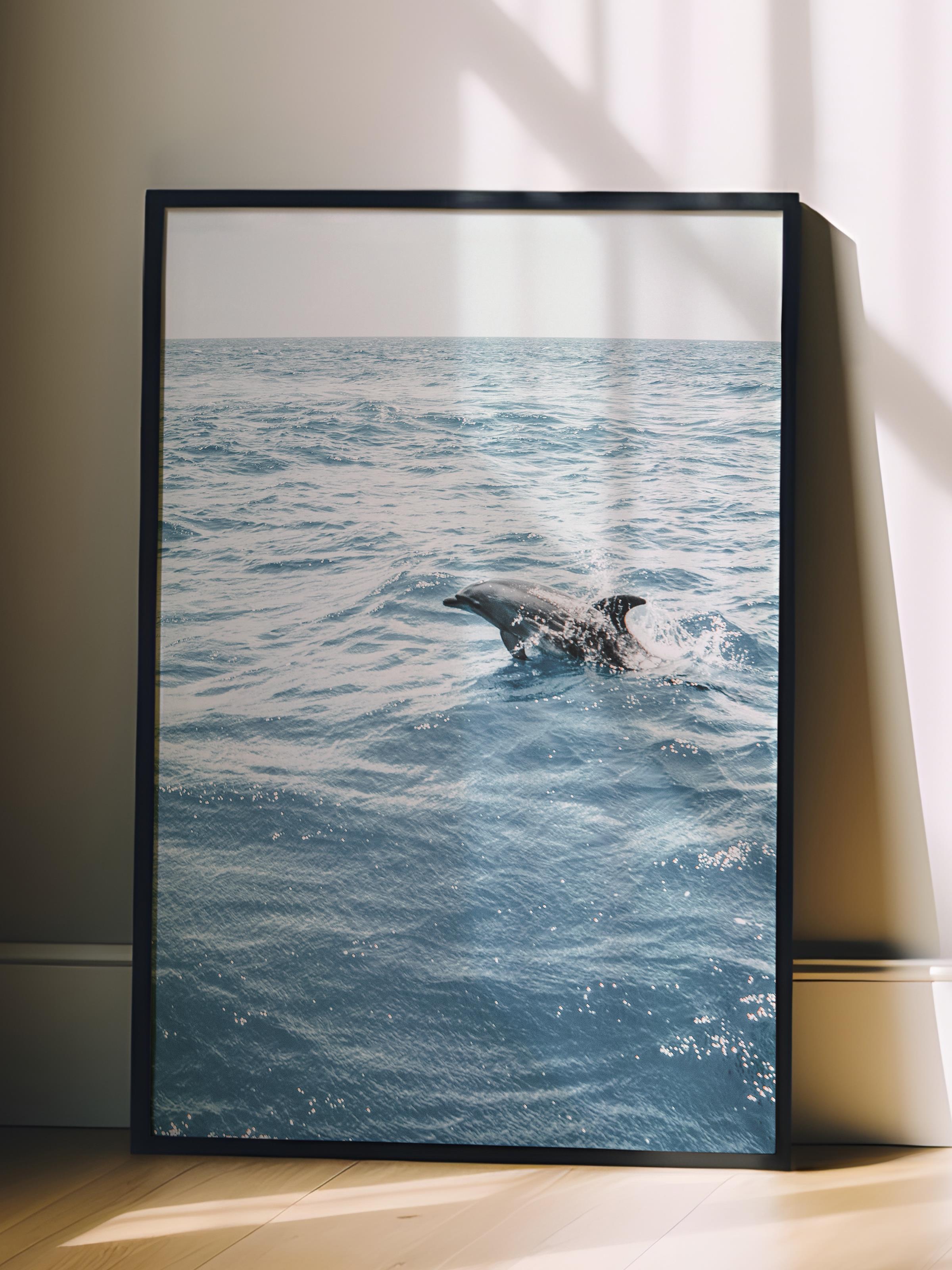 Çerçevesiz Poster, Yaz Temalı Tablo NO:117, Okyanusta Yunus Fotoğrafı, Mavi Poster, Dikey