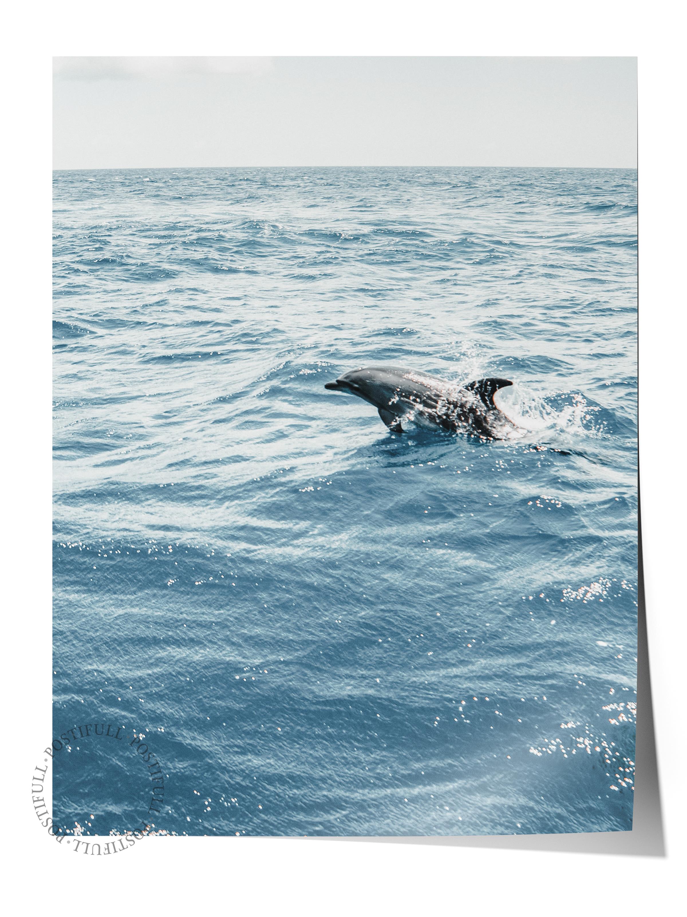 Çerçevesiz Poster, Yaz Temalı Tablo NO:117, Okyanusta Yunus Fotoğrafı, Mavi Poster, Dikey