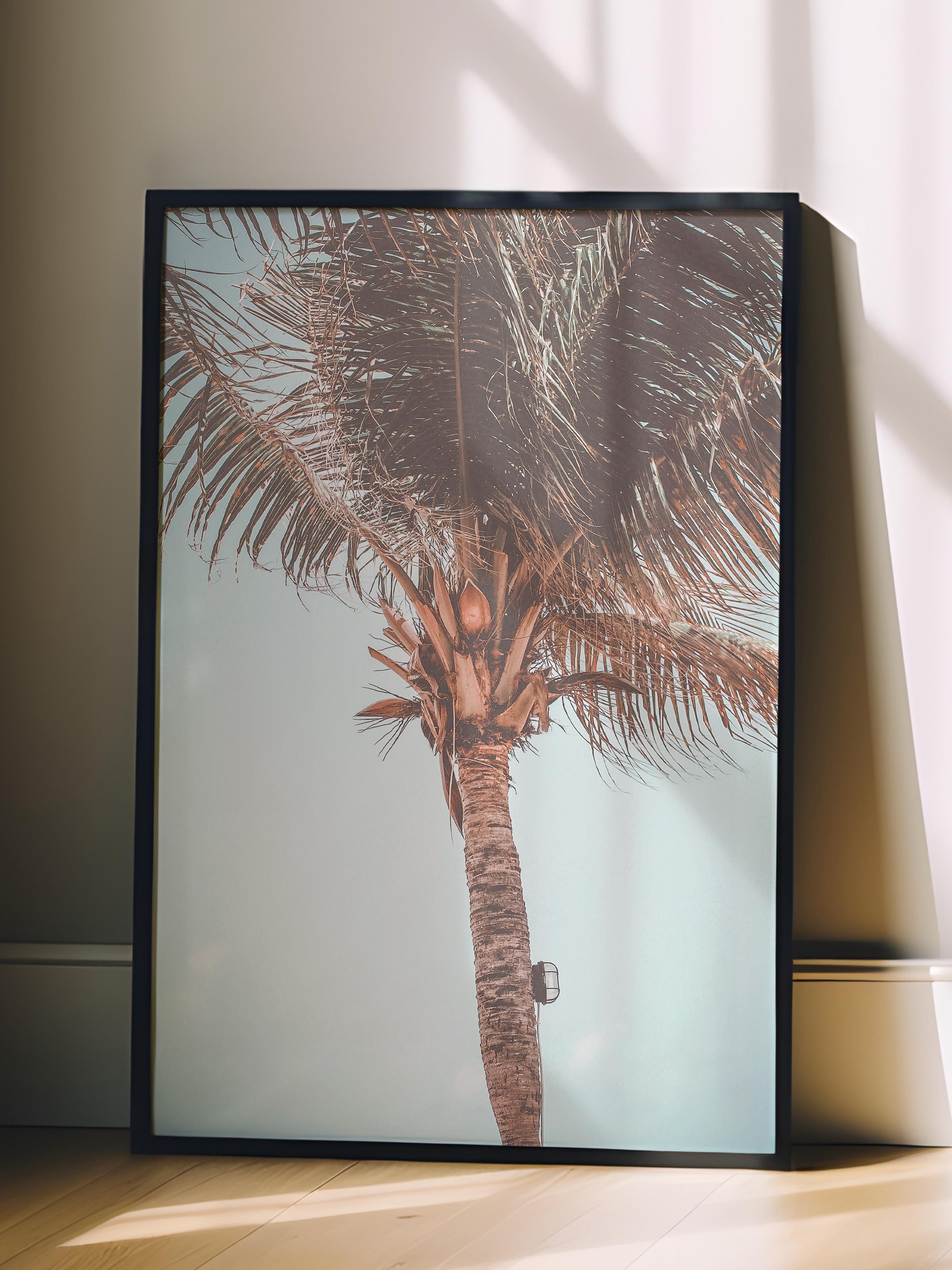Çerçevesiz Poster, Yaz Temalı Tablo NO:157, Tek Palmiye Fotoğrafı, Mavi Poster, Dikey