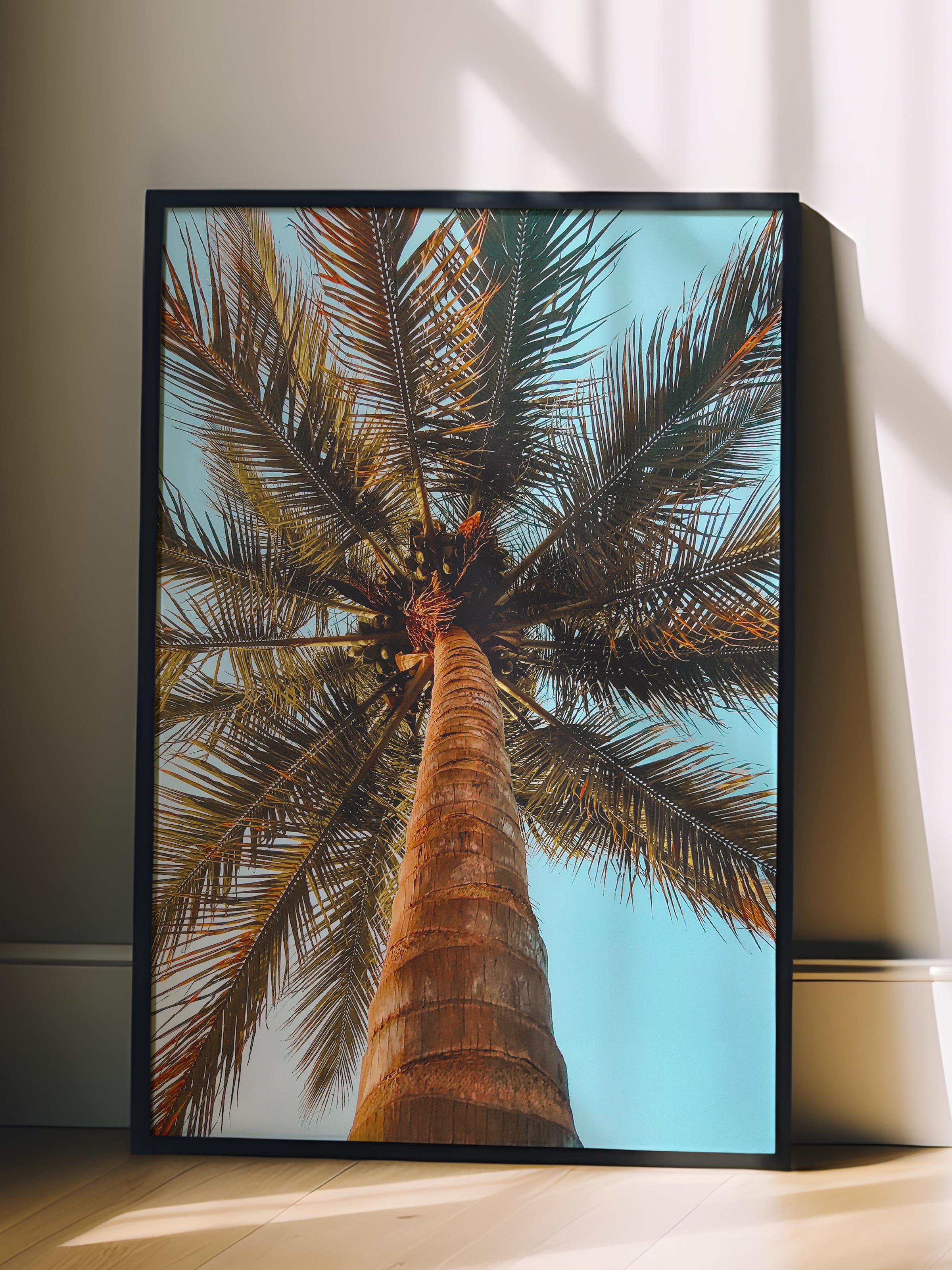 Çerçevesiz Poster, Yaz Temalı Tablo NO:211, Yüksek Palmiye Ağacı Fotoğrafı, Yeşil Poster, Dikey