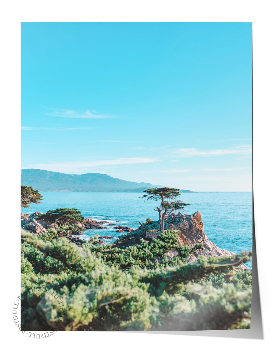 Kıyı ve Ağaç Manzarası Fotoğraf Çerçevesiz Poster