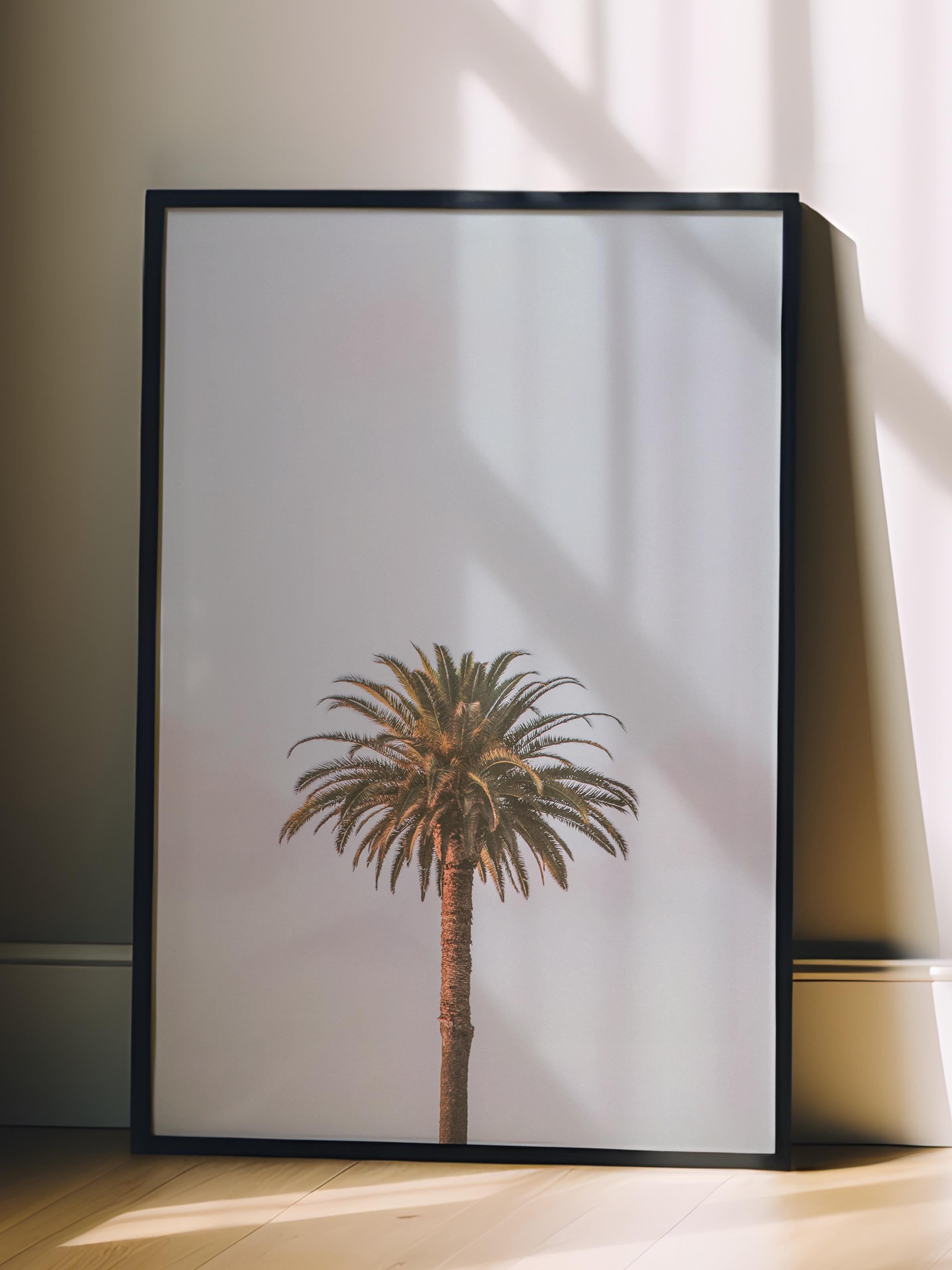 Çerçevesiz Poster, Yaz Temalı Tablo NO:26, Yalnız Palmiye Fotoğrafı, Yeşil Poster, Dikey