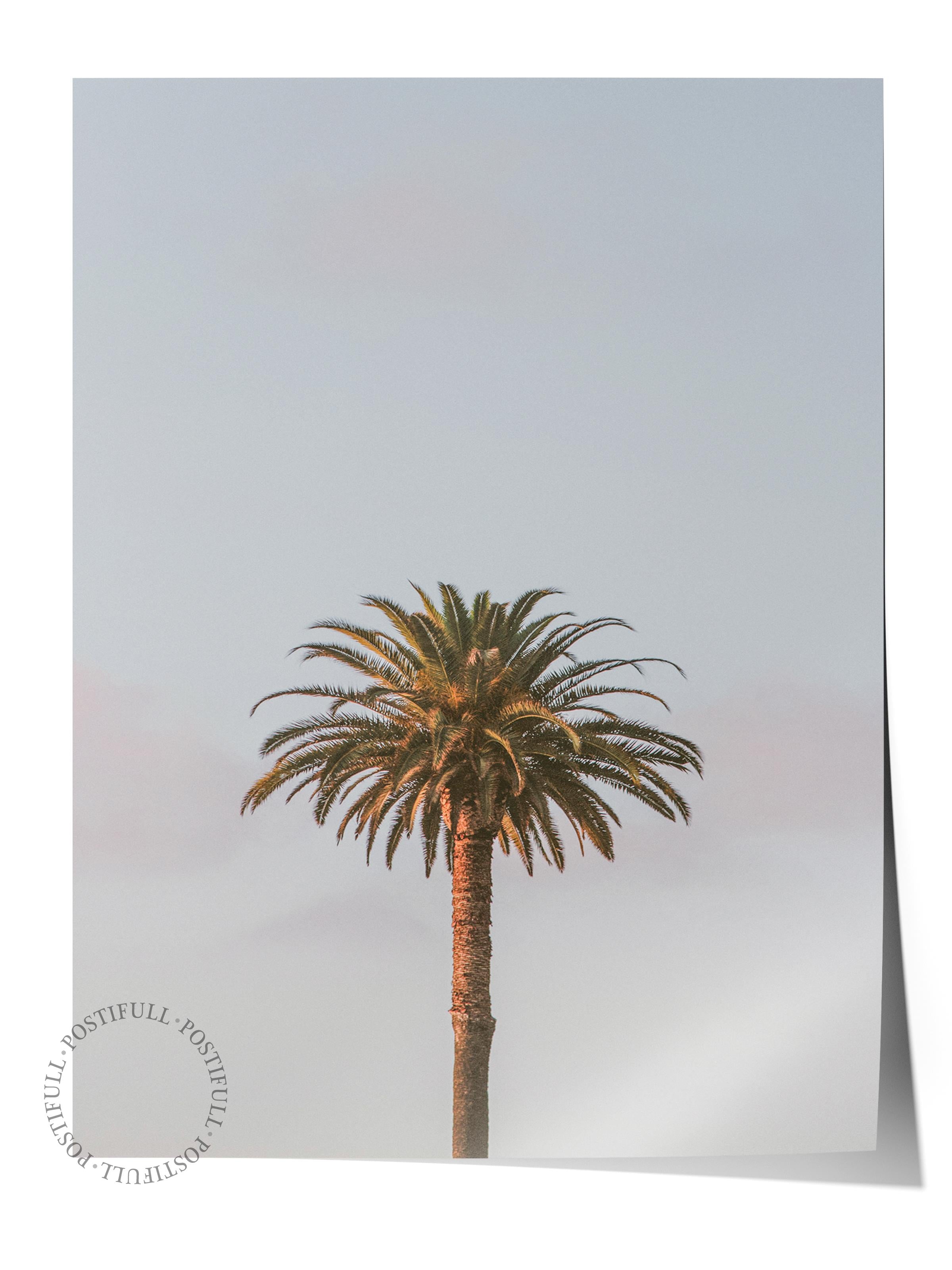 Çerçevesiz Poster, Yaz Temalı Tablo NO:26, Yalnız Palmiye Fotoğrafı, Yeşil Poster, Dikey
