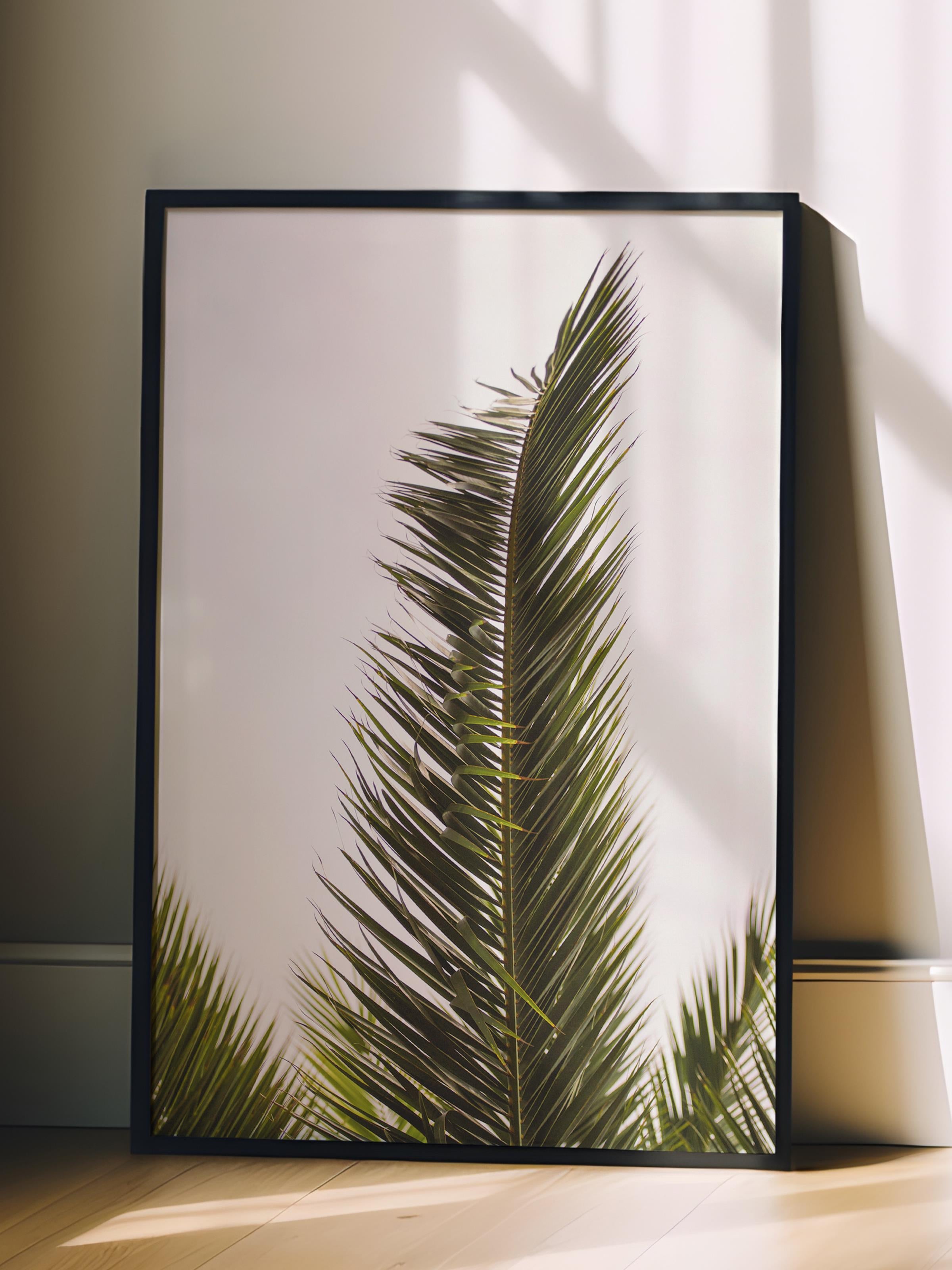 Çerçevesiz Poster, Yaz Temalı Tablo NO:43, Palmiye Yaprağı Fotoğrafı, Yeşil Poster, Dikey