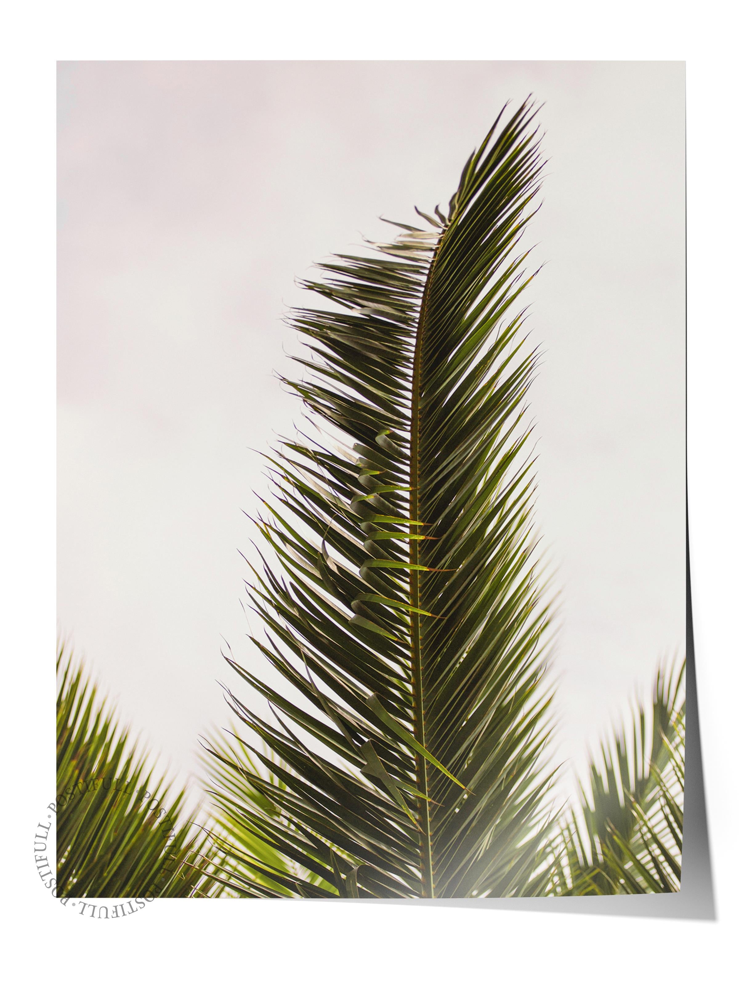 Çerçevesiz Poster, Yaz Temalı Tablo NO:43, Palmiye Yaprağı Fotoğrafı, Yeşil Poster, Dikey