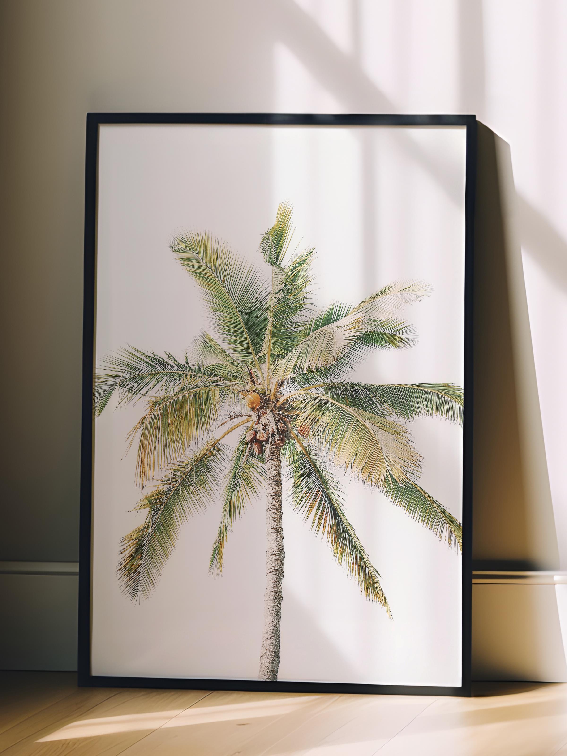 Çerçevesiz Poster, Yaz Temalı Tablo NO:9, Tek Palmiye Fotoğrafı, Yeşil Poster, Dikey