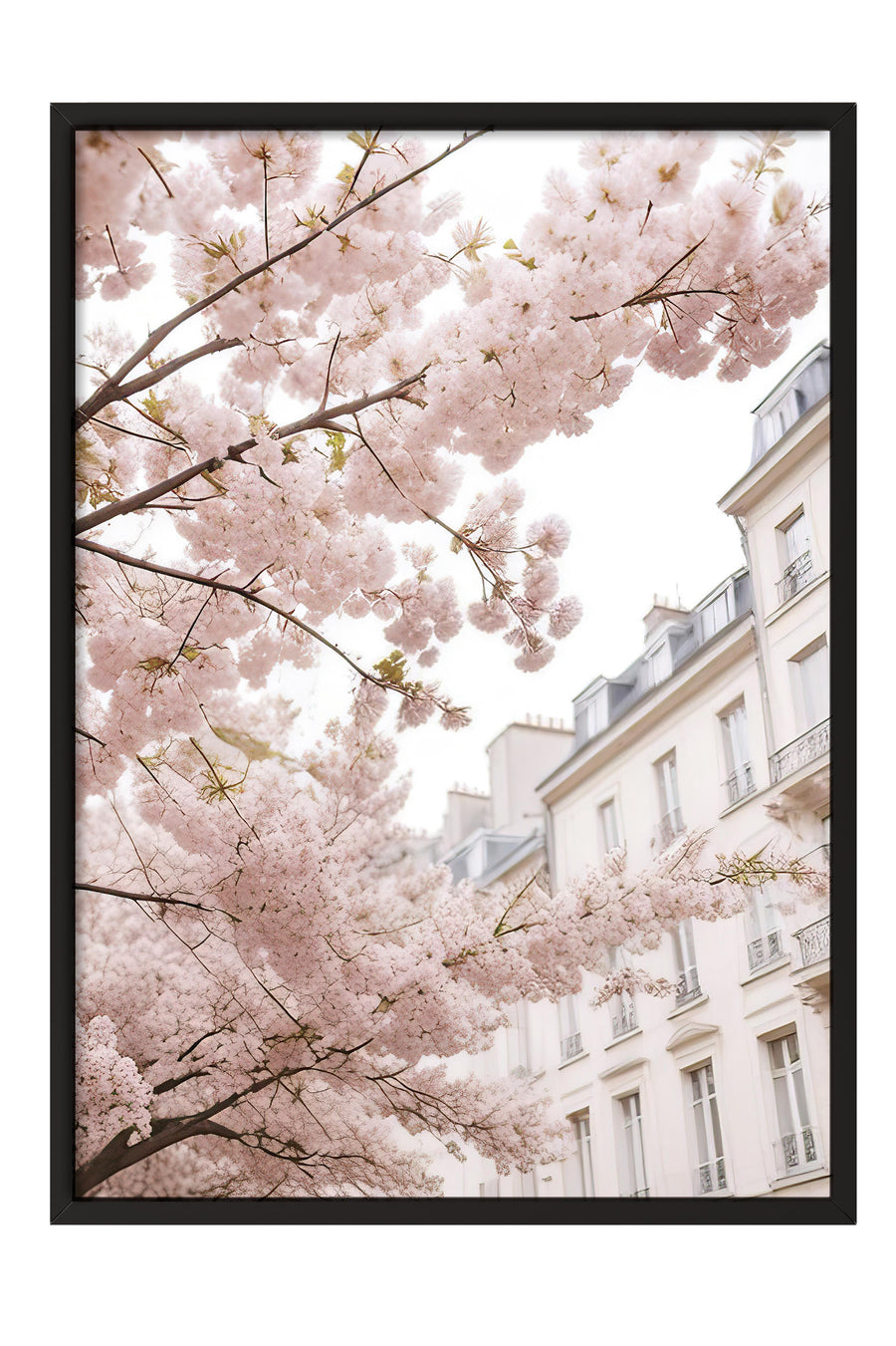 Paris Sokağında Sakura Çiçekleri Comfort Serisi Poster – Siyah Çerçeveli Tablo