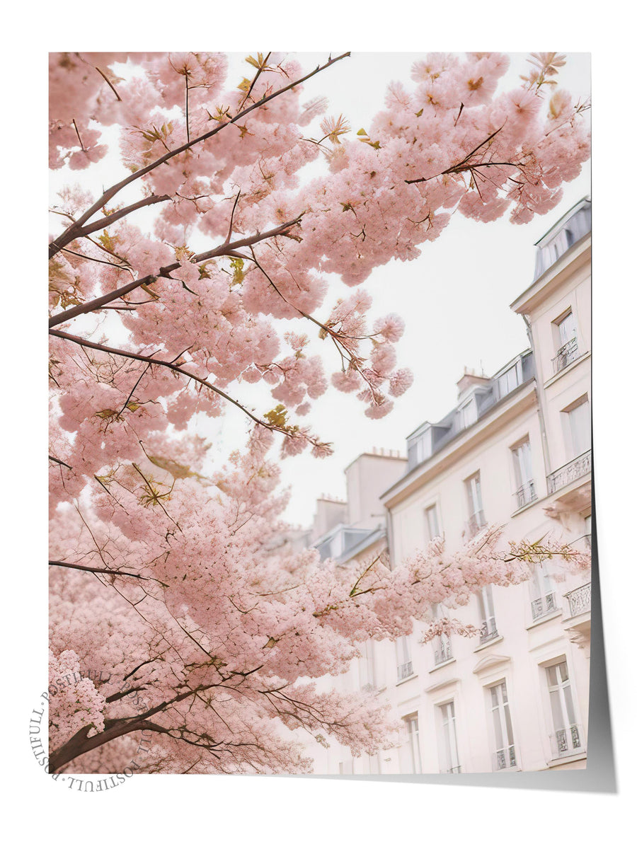 Paris Sokağında Sakura Çiçekleri Comfort Serisi Çerçevesiz Poster